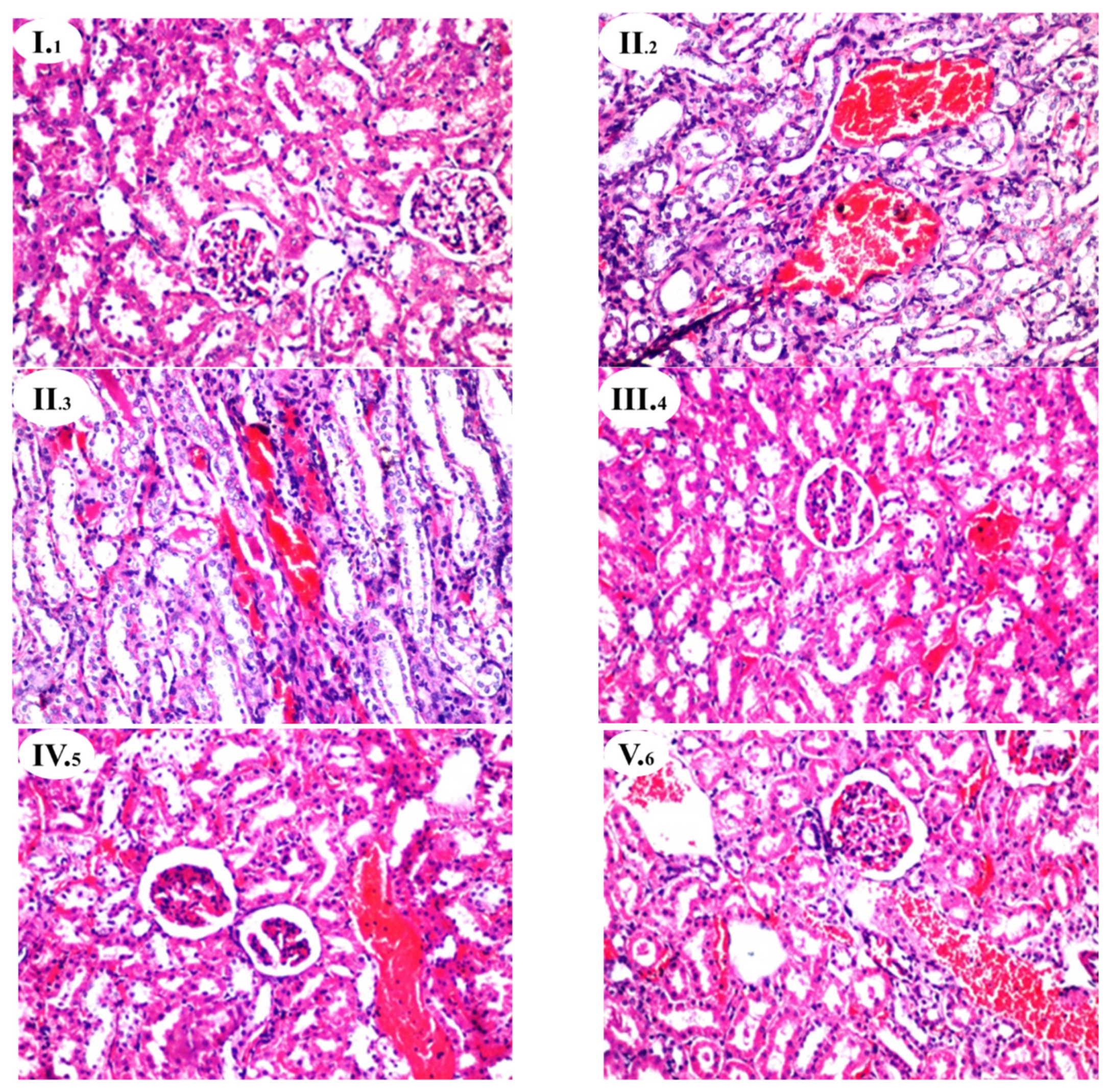Nutrients 13 02973 g001a