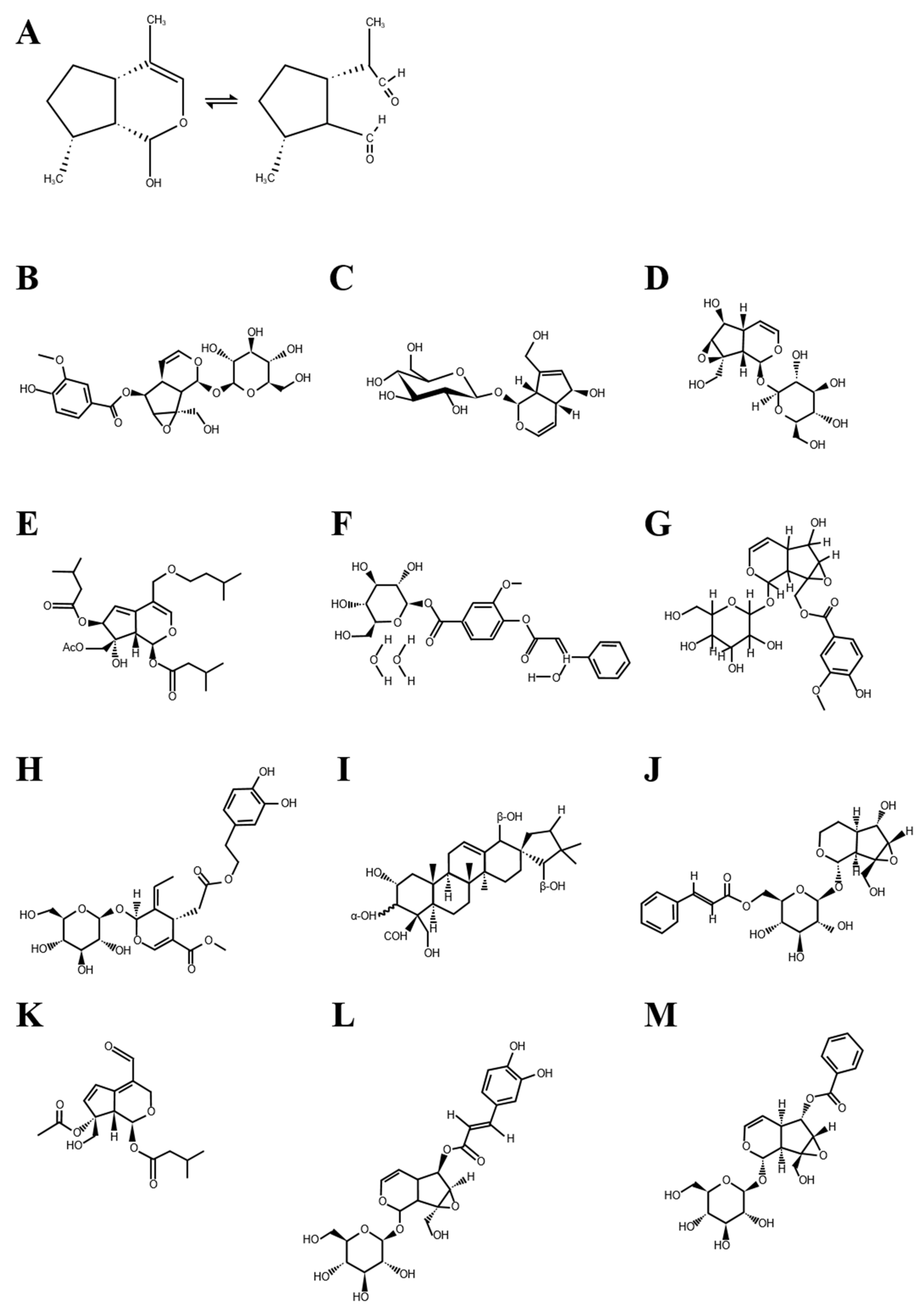 Nutrients 13 02974 g001