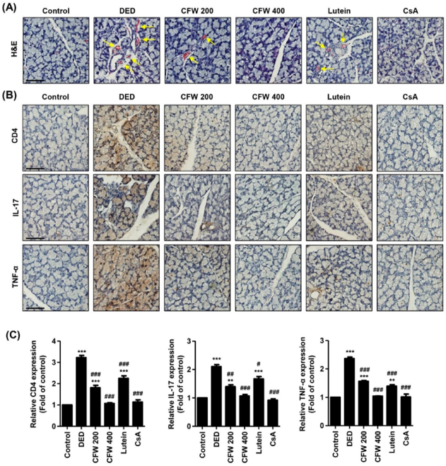 Nutrients 13 02986 g004