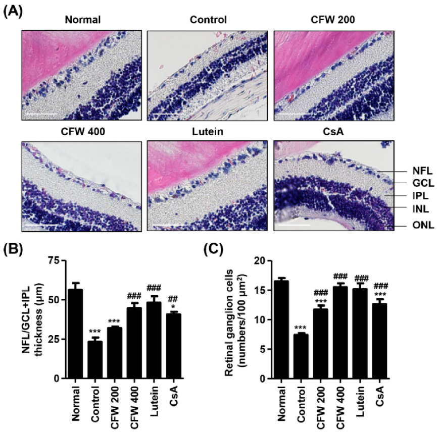 Nutrients 13 02986 g005