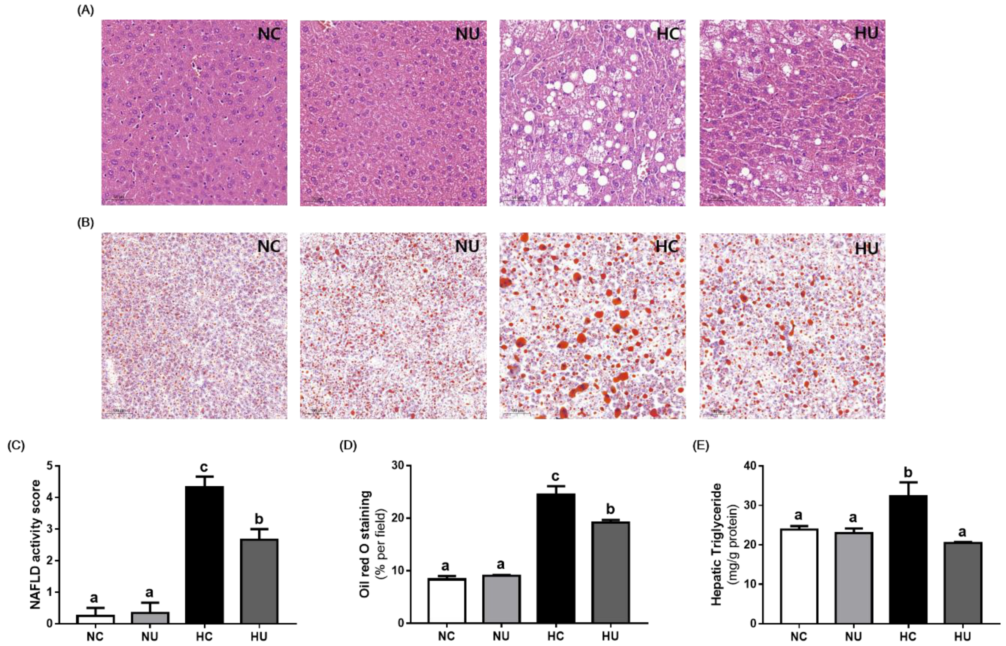 Nutrients 13 02989 g004