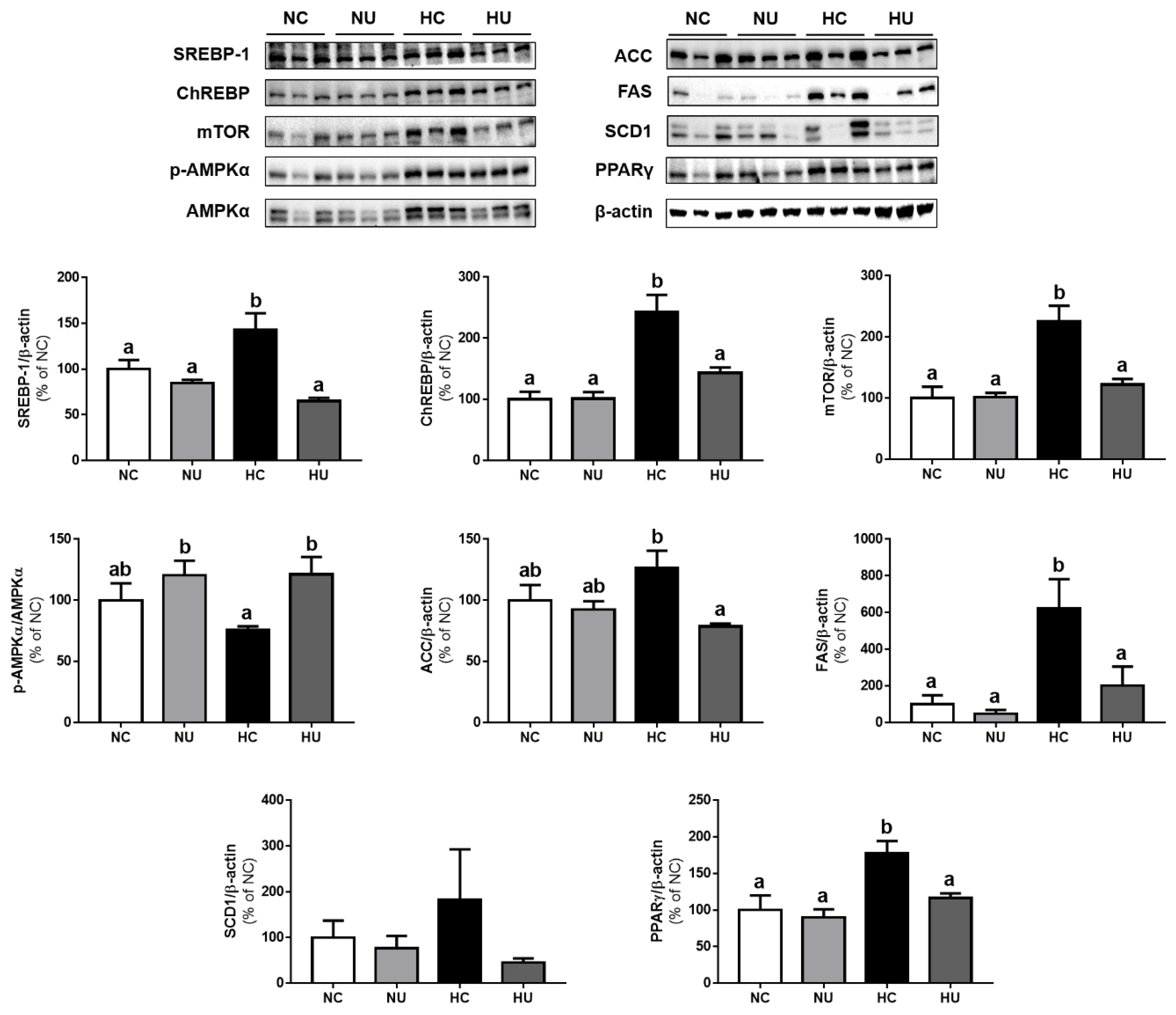 Nutrients 13 02989 g005