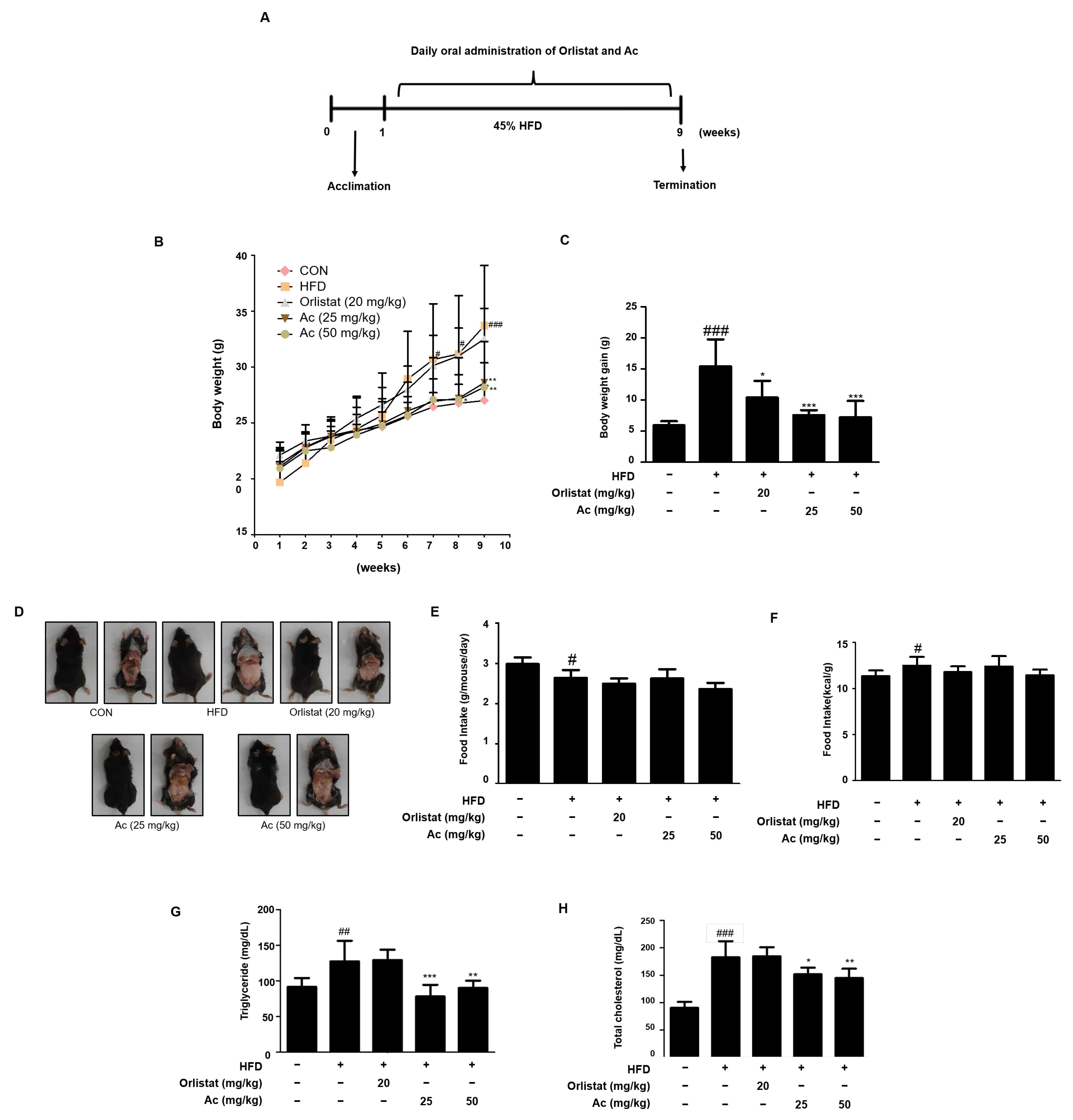 Nutrients 13 02992 g001 Nutrients 13 02992 g001