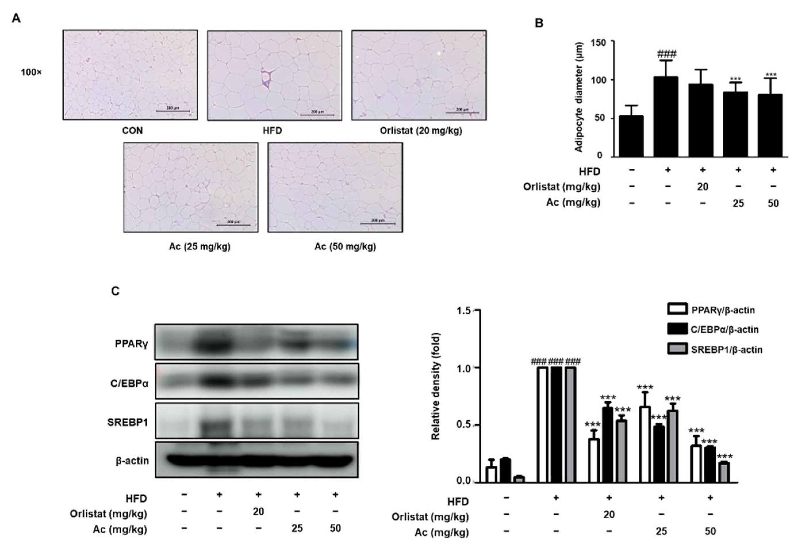 Nutrients 13 02992 g003 Nutrients 13 02992 g003