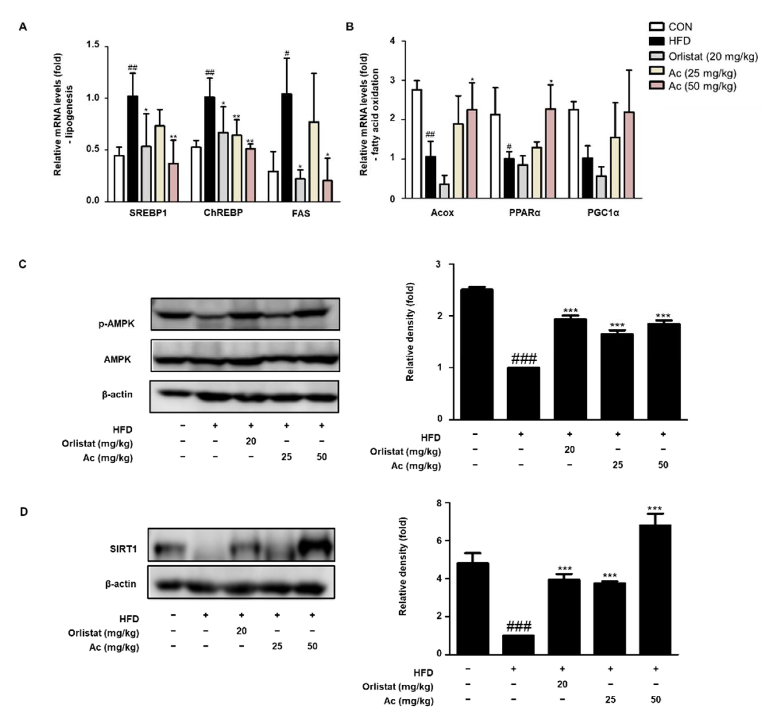 Nutrients 13 02992 g004 Nutrients 13 02992 g004