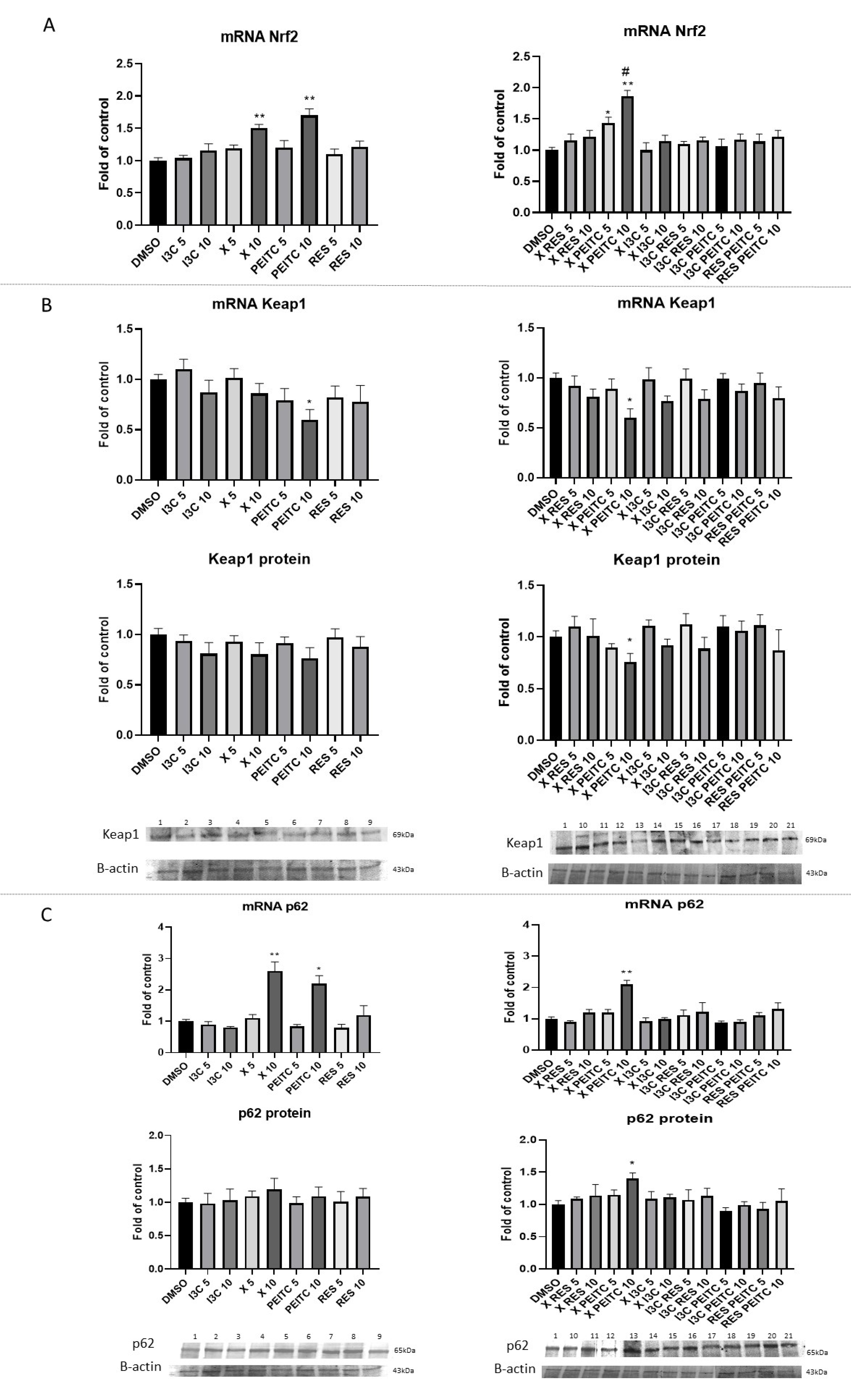 Nutrients 13 03000 g007