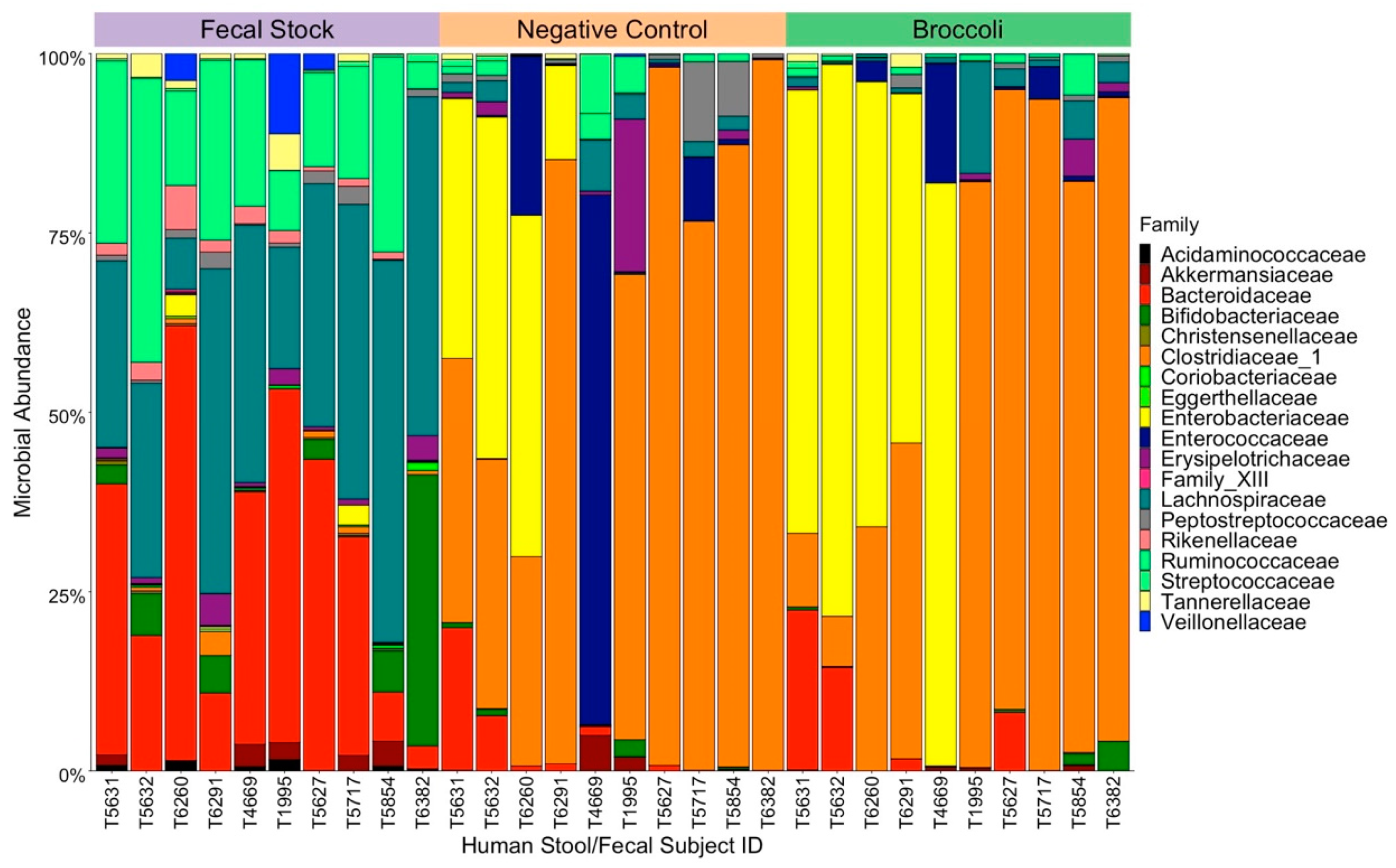 Nutrients 13 03013 g001