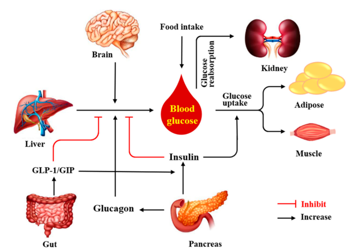 Nutrients 13 03038 g001 Nutrients 13 03038 g001