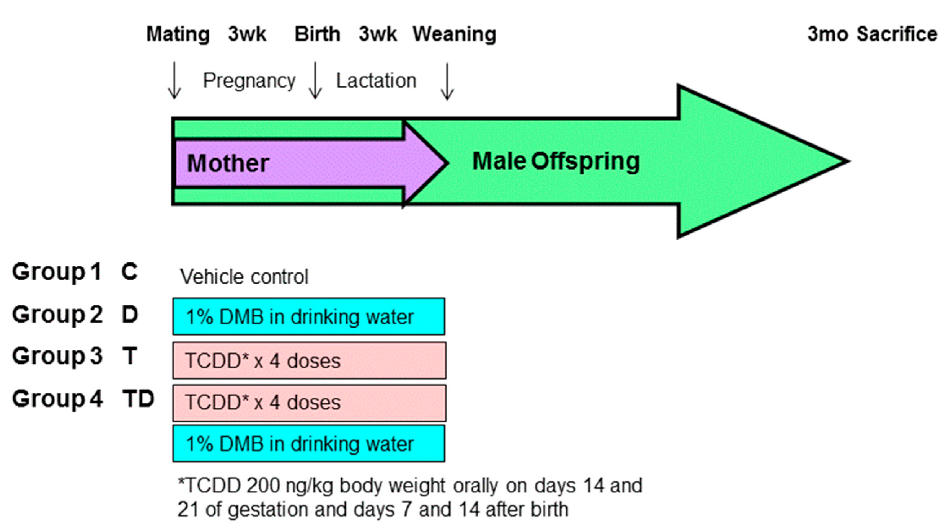 Nutrients 13 03041 g001