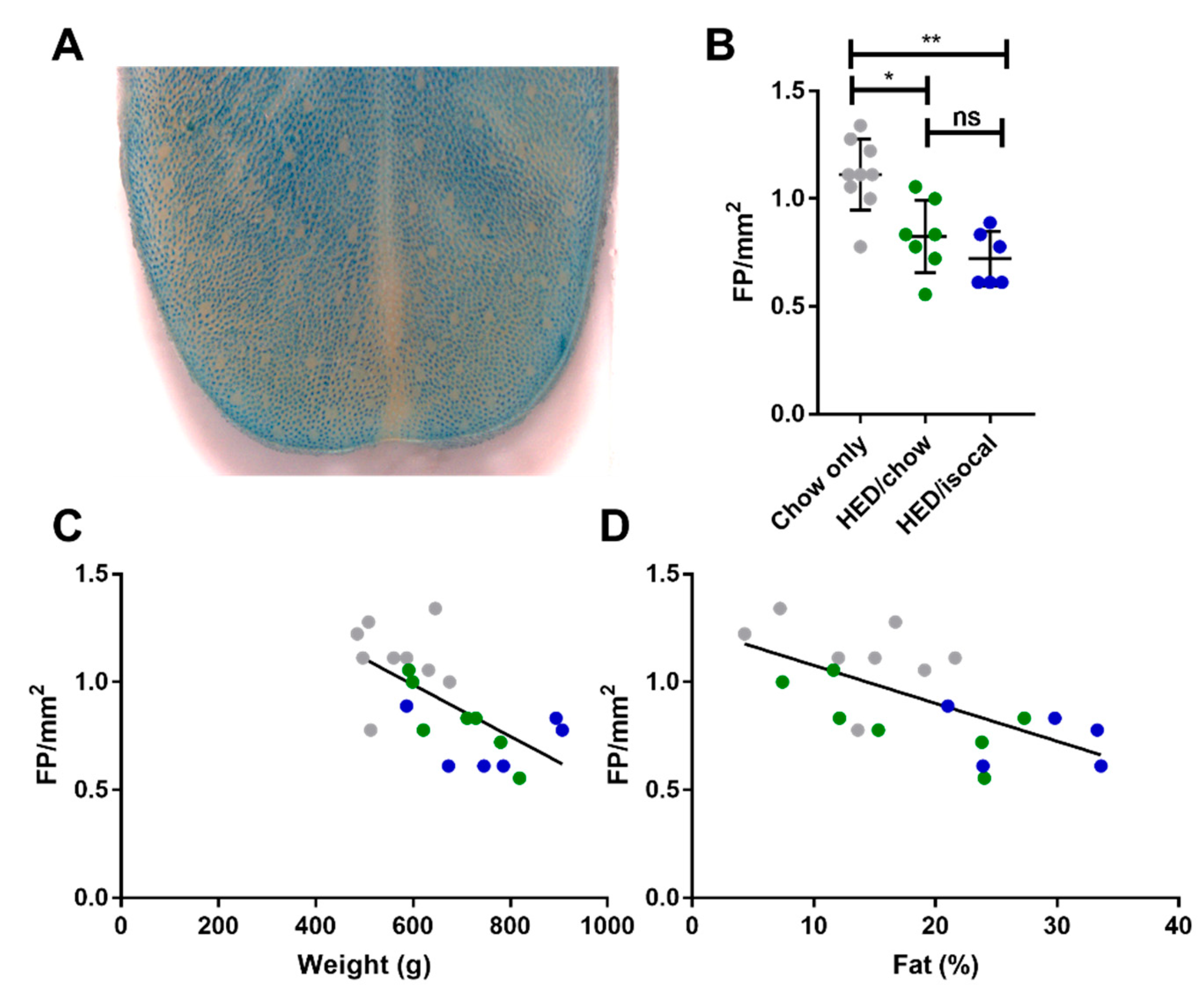 Nutrients 13 03062 g002