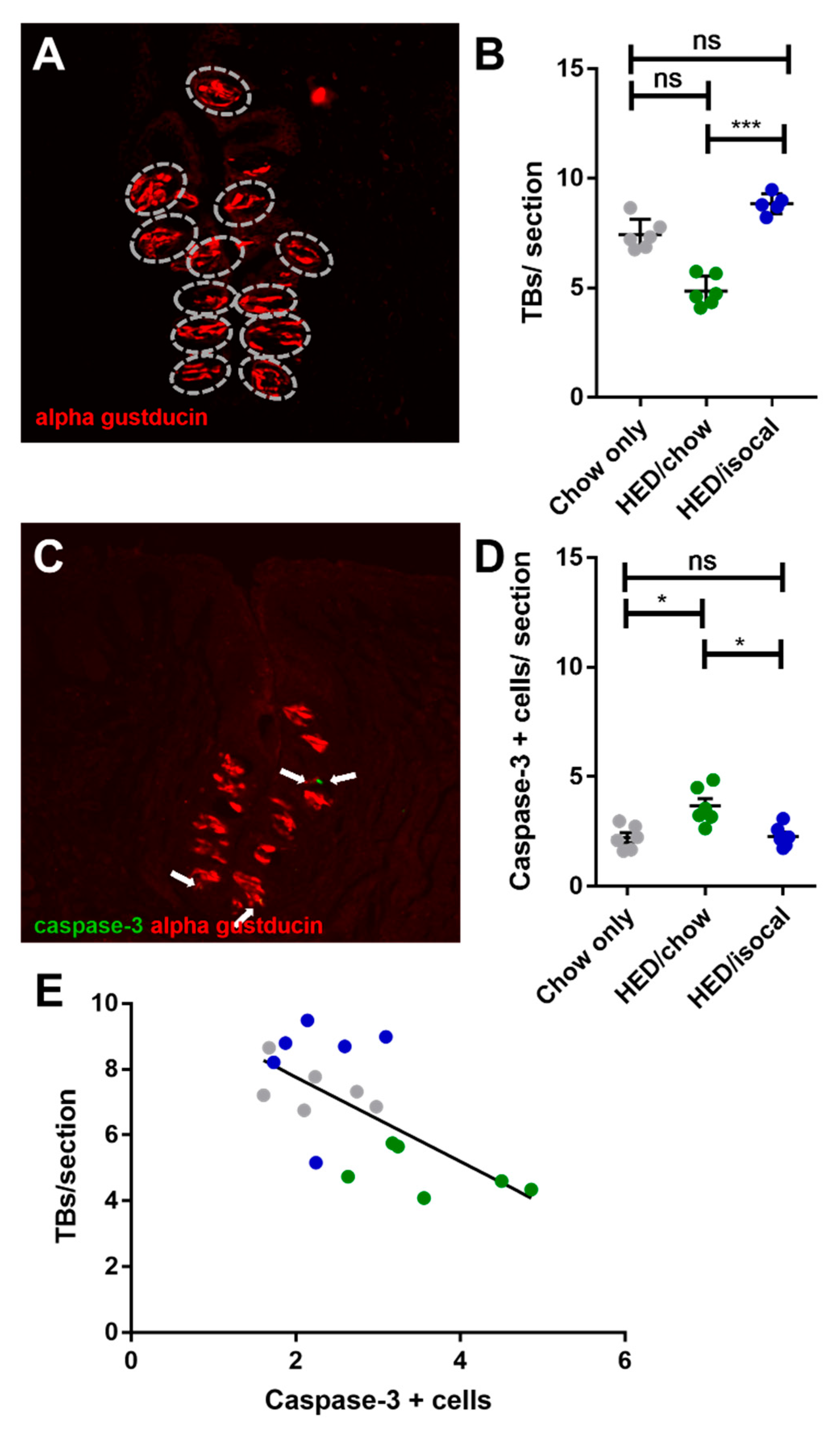 Nutrients 13 03062 g003