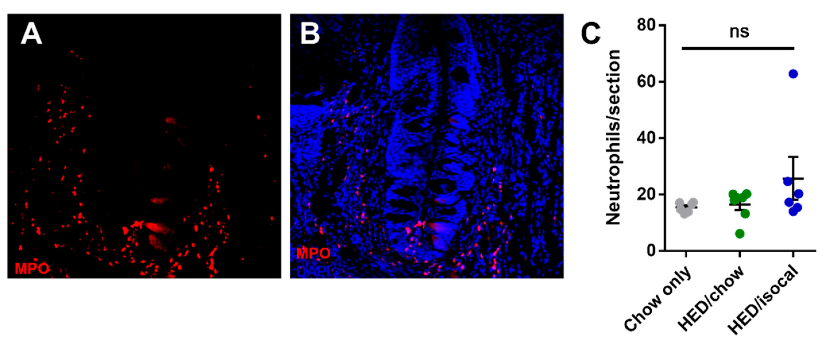 Nutrients 13 03062 g004