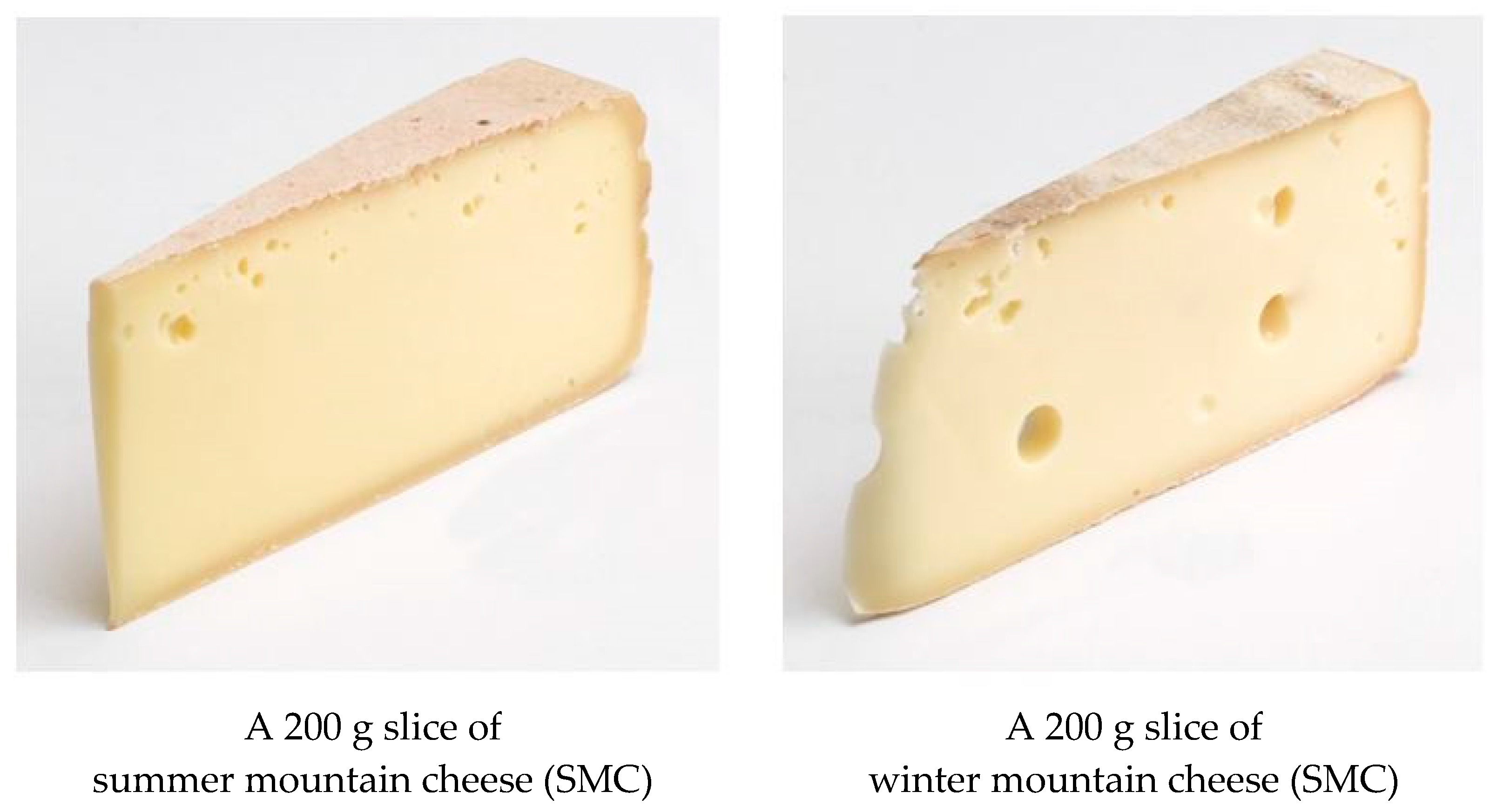 Nutrients 13 03063 g001