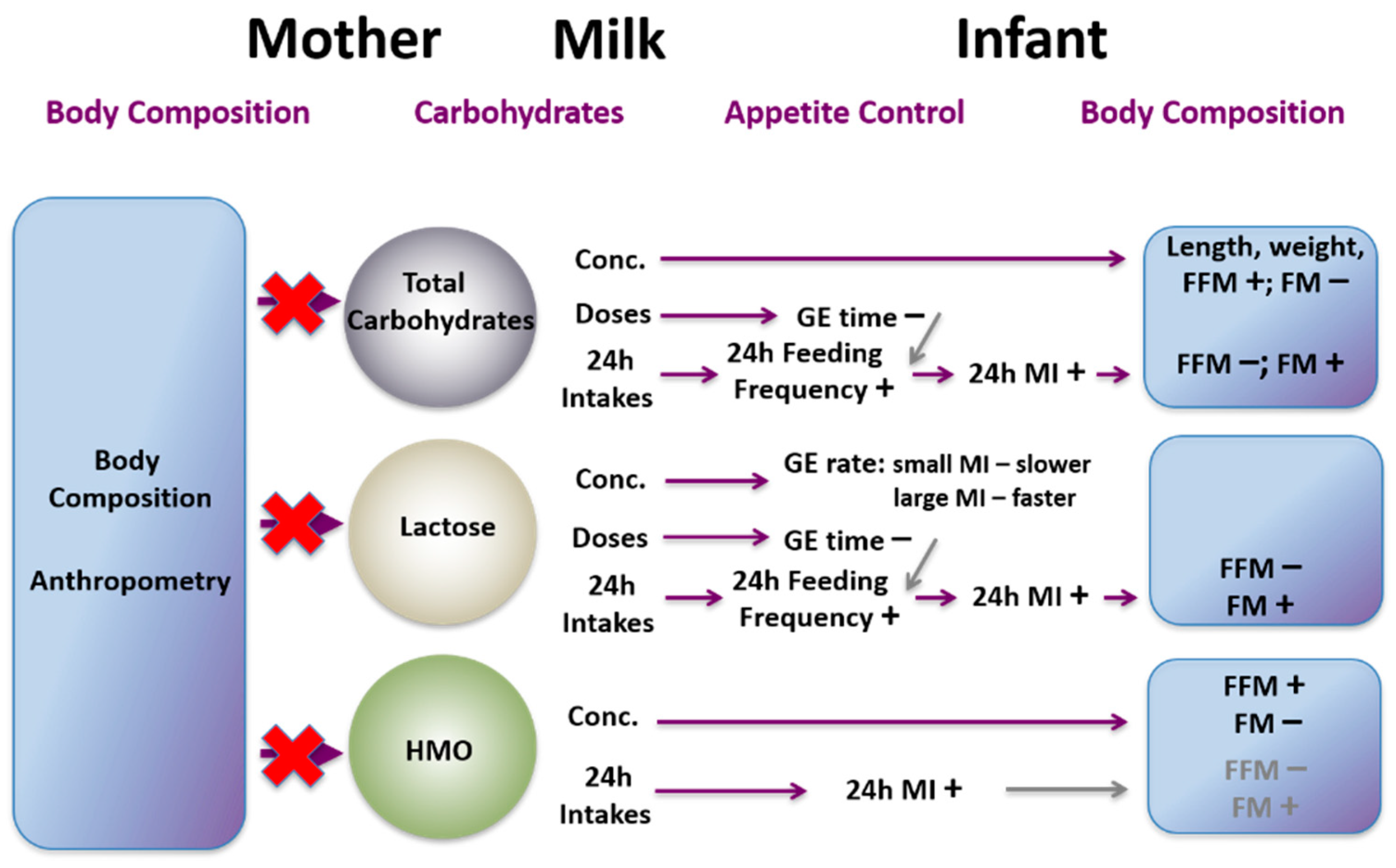 Nutrients 13 03071 g013