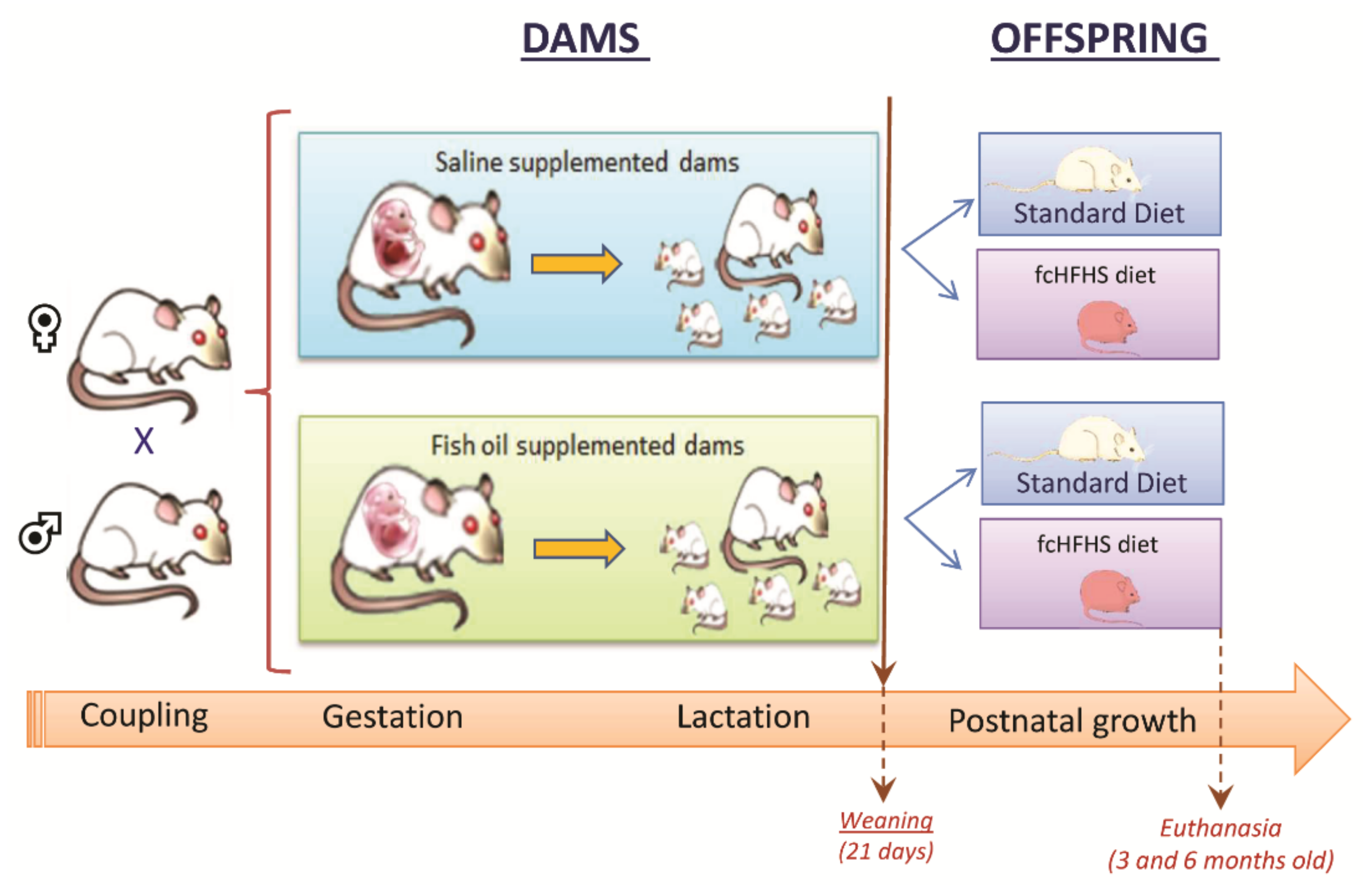 Nutrients 13 03075 g001