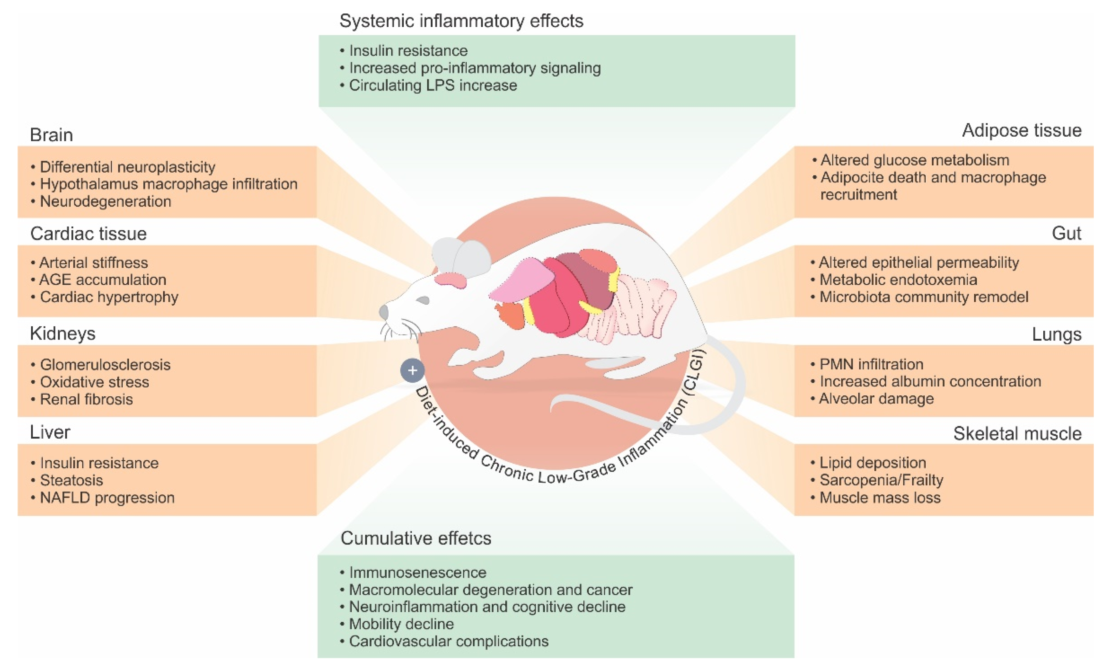 Nutrients 13 03091 g001 Nutrients 13 03091 g001