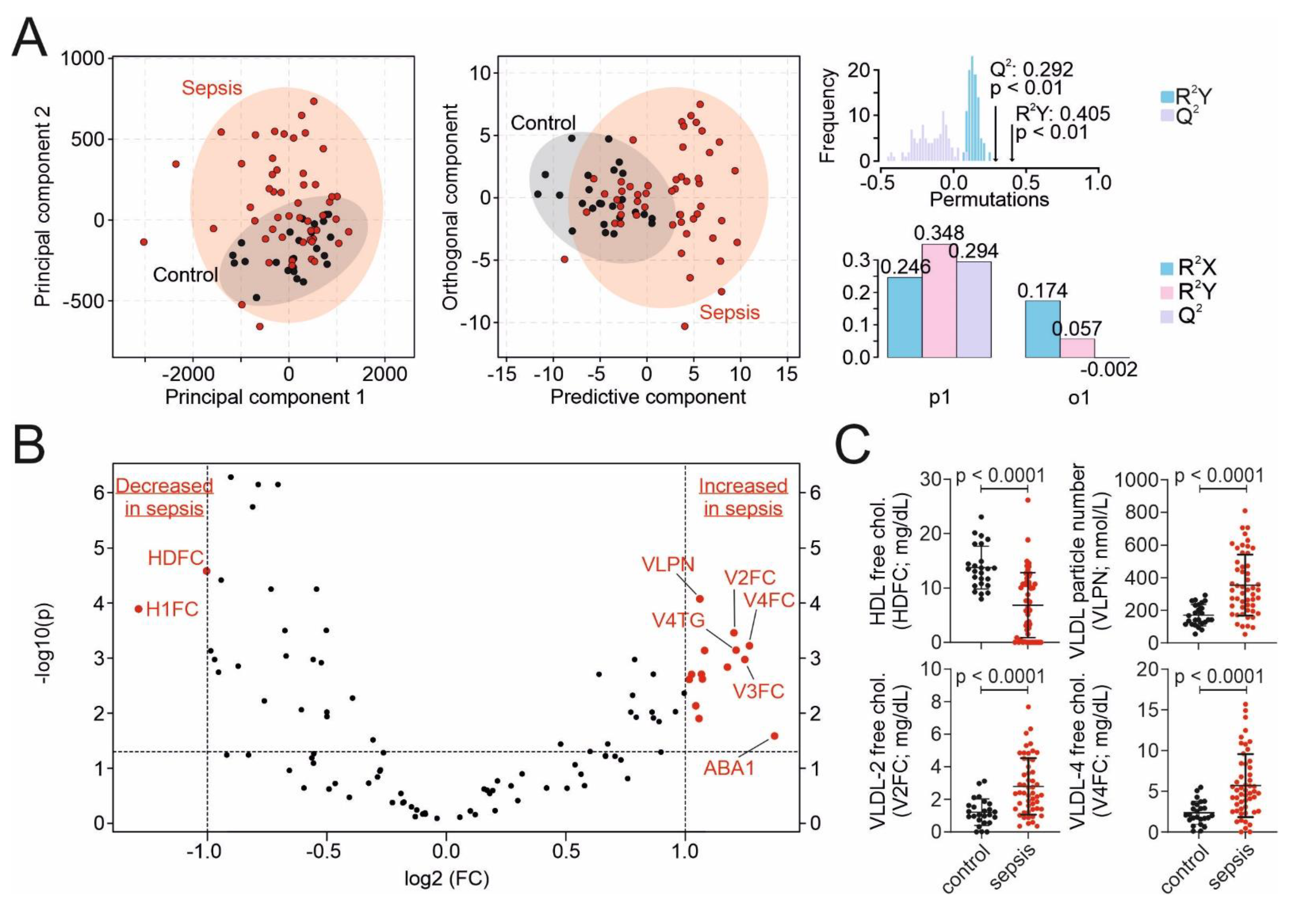 Nutrients 13 03106 g001