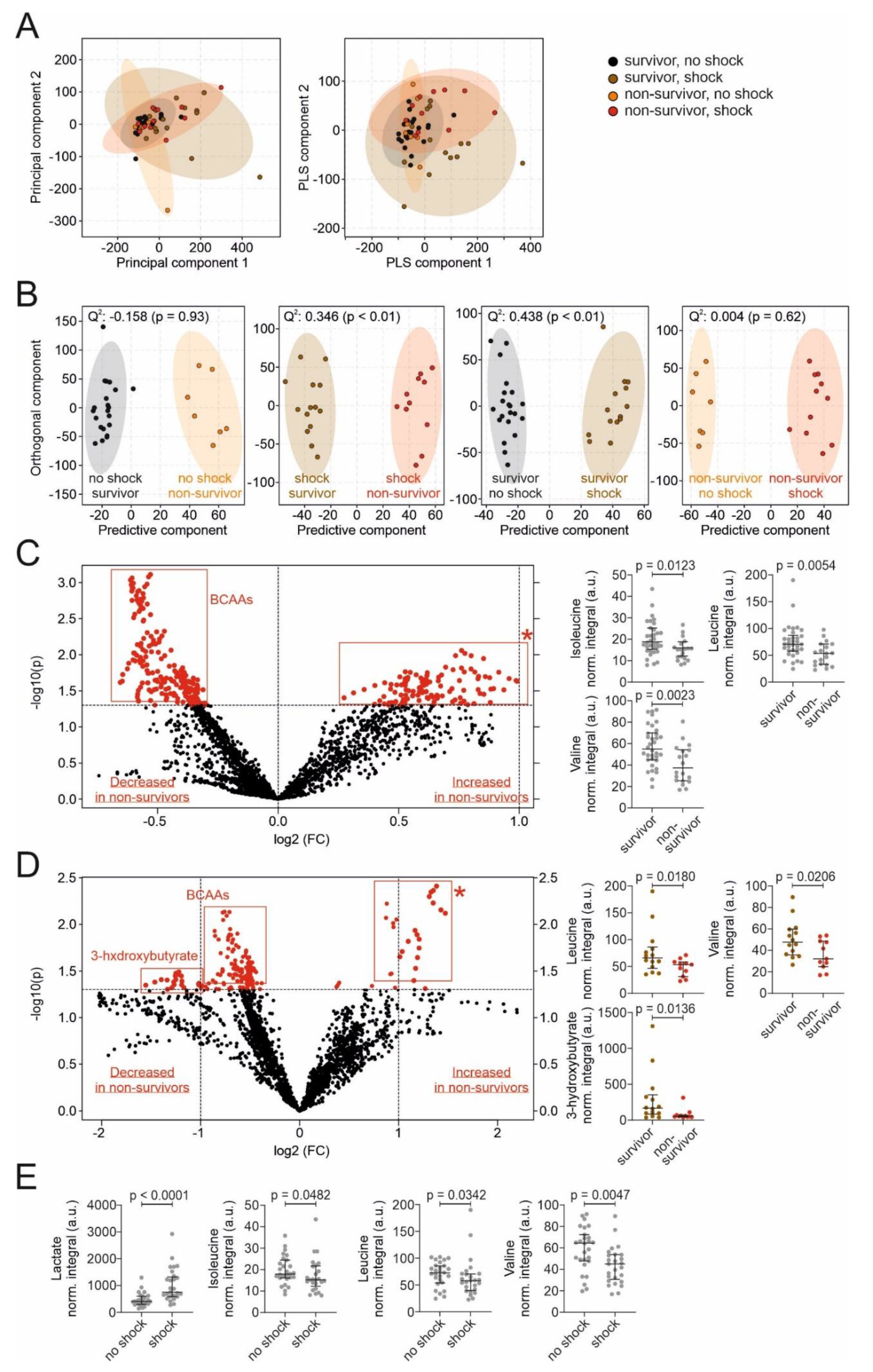 Nutrients 13 03106 g002