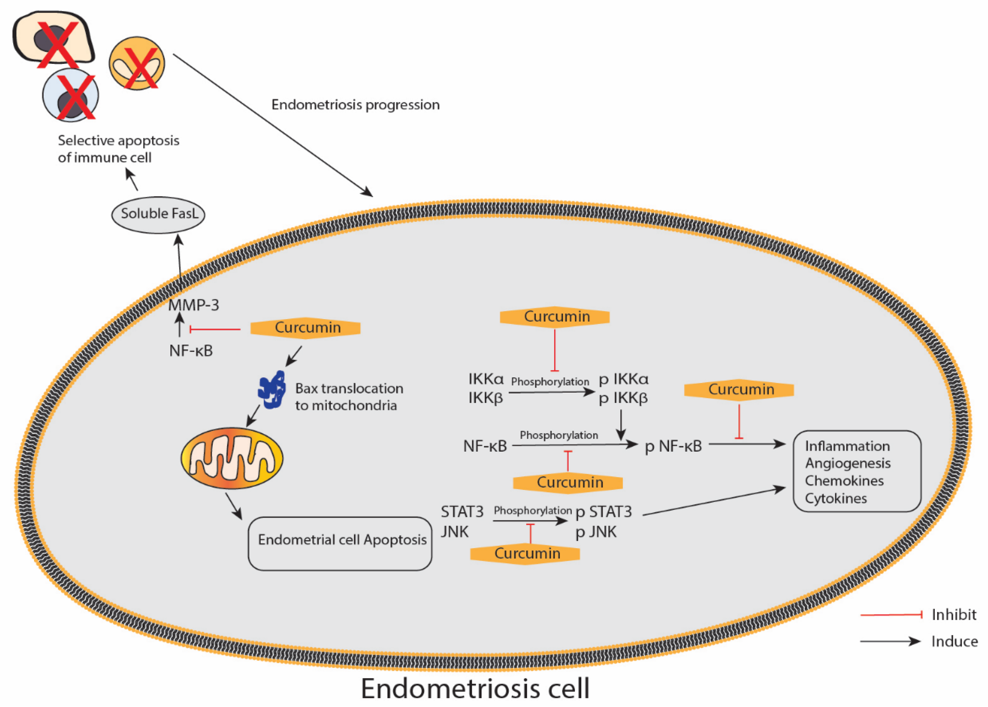 Nutrients 13 03126 g005
