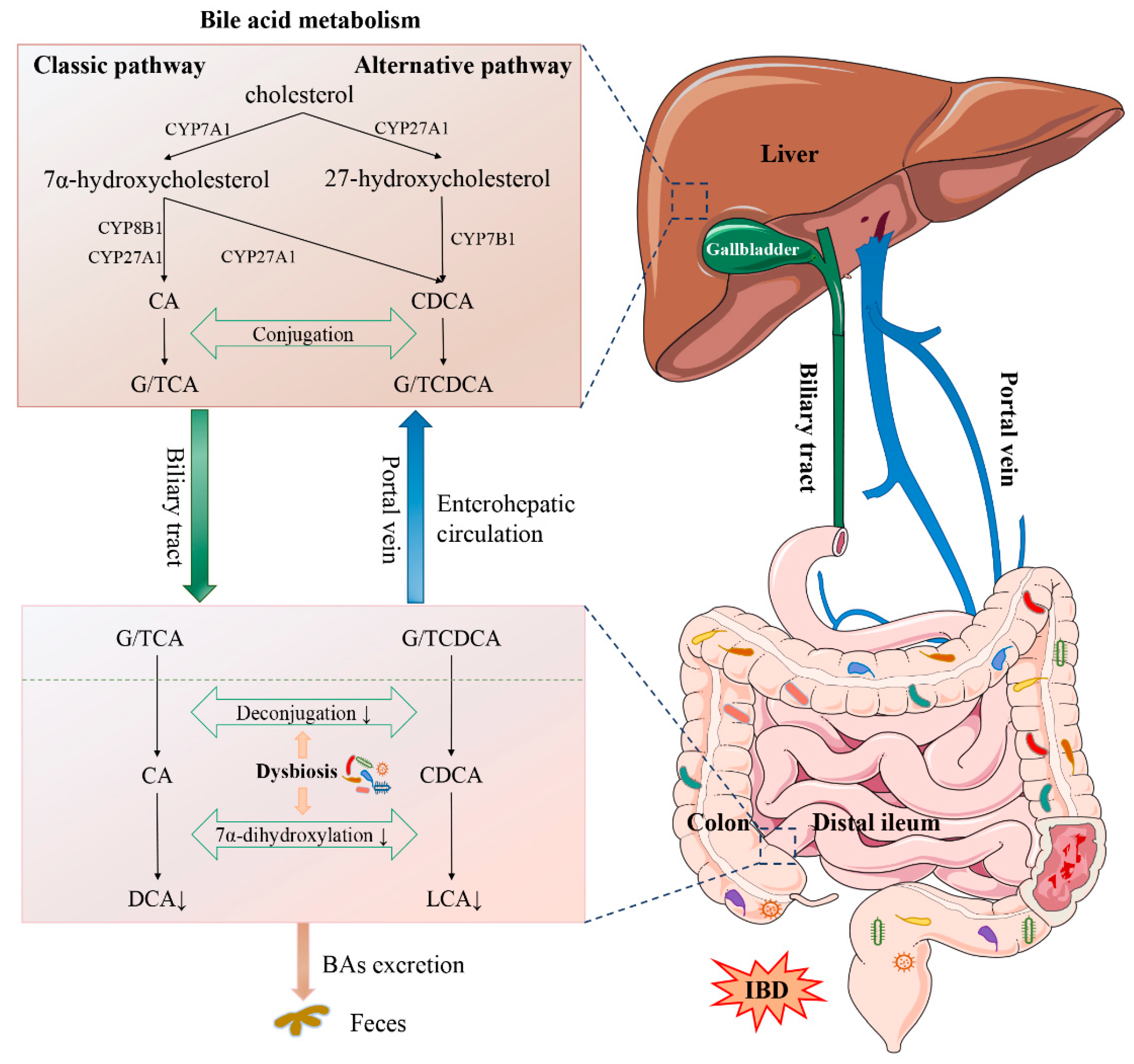 Nutrients 13 03143 g001