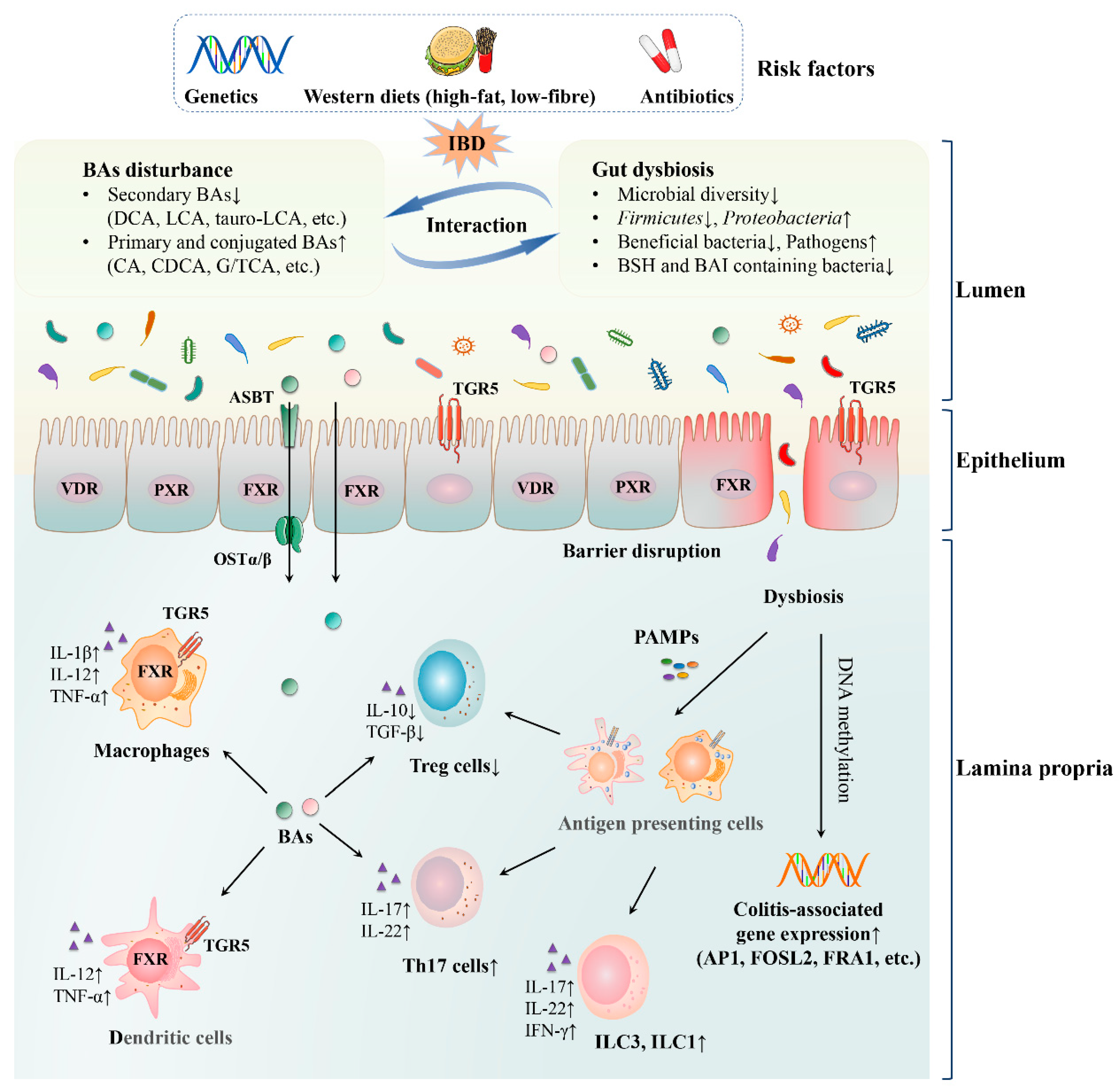 Nutrients 13 03143 g002
