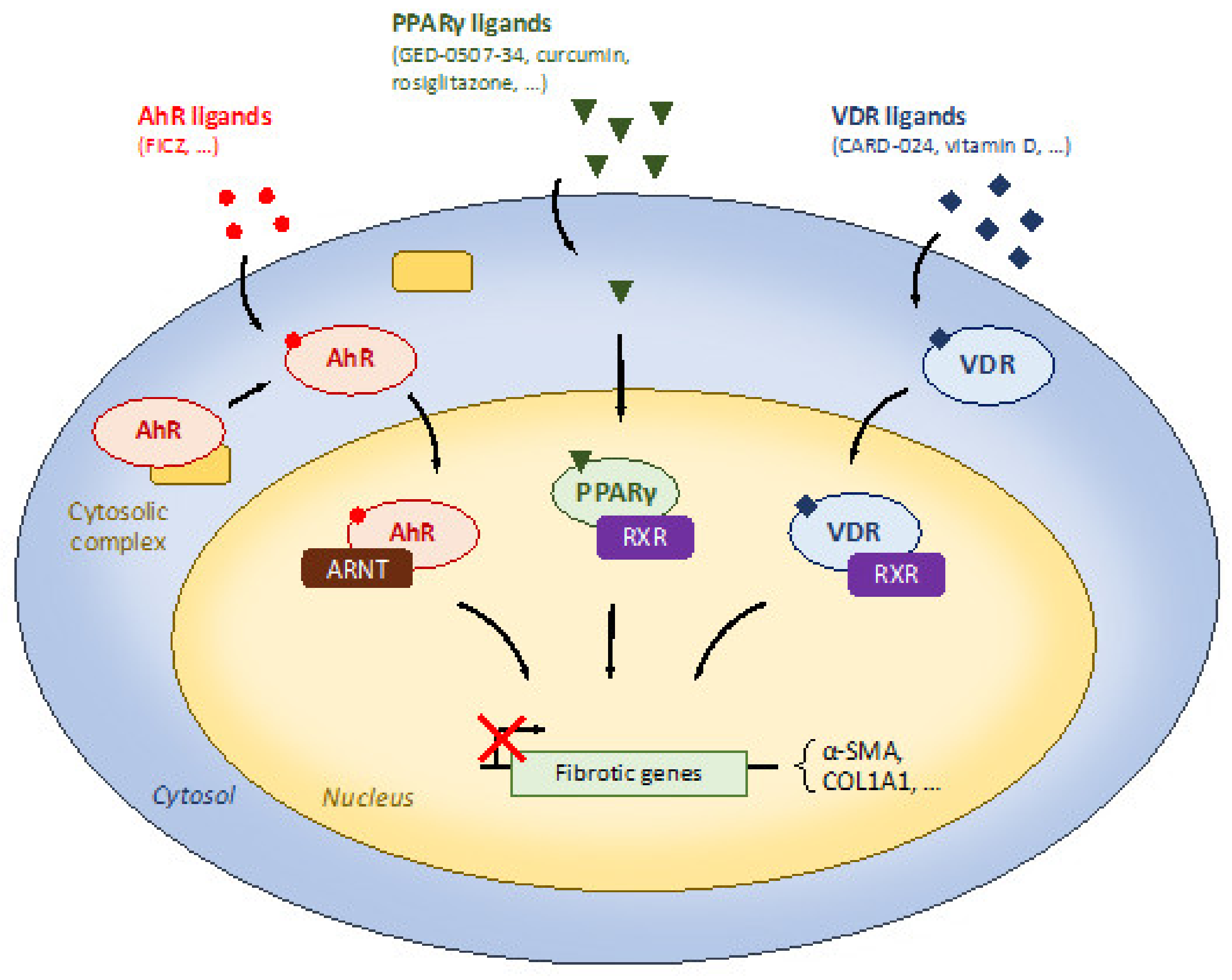 Nutrients 13 03148 g002