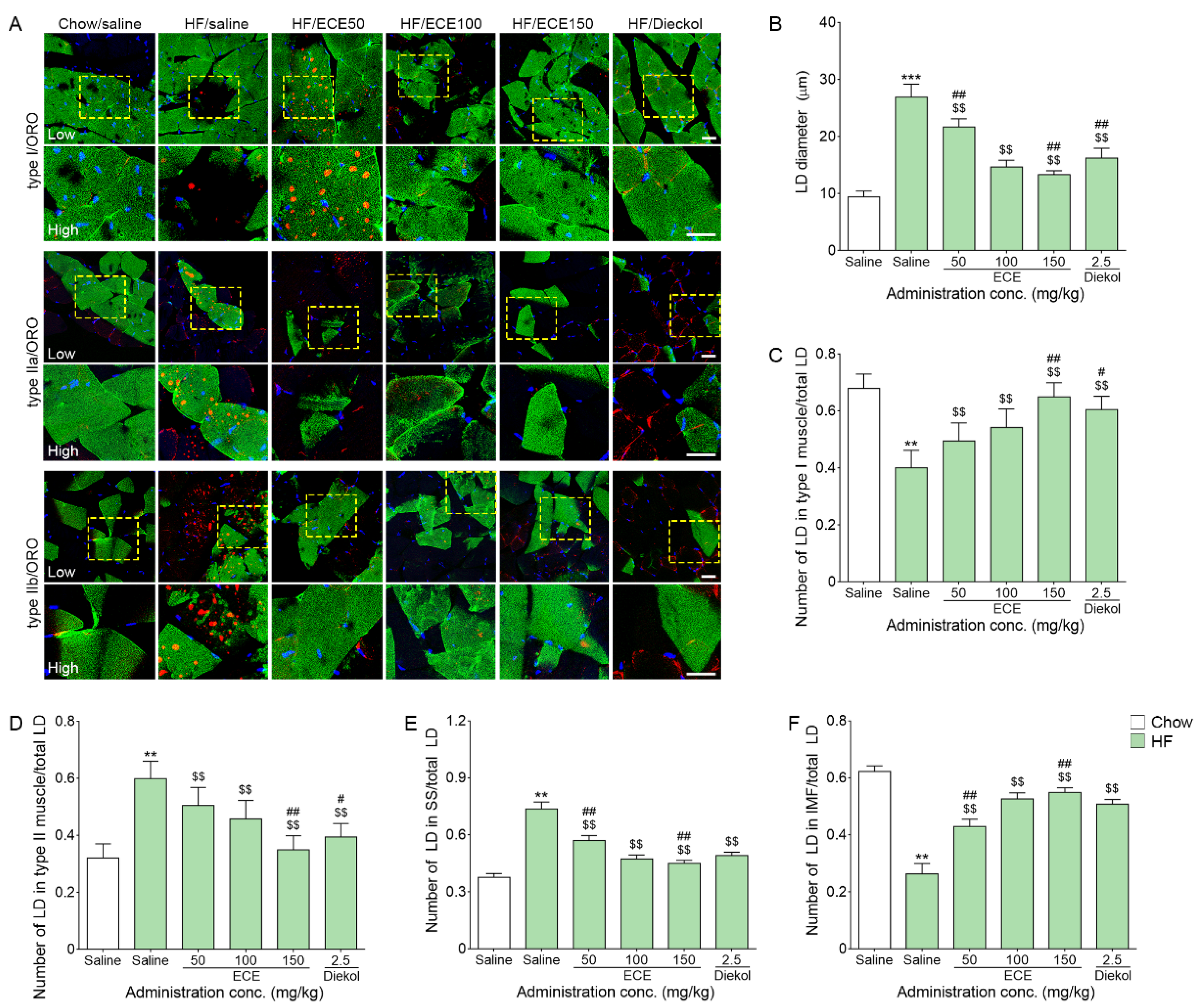 Nutrients 13 03160 g002
