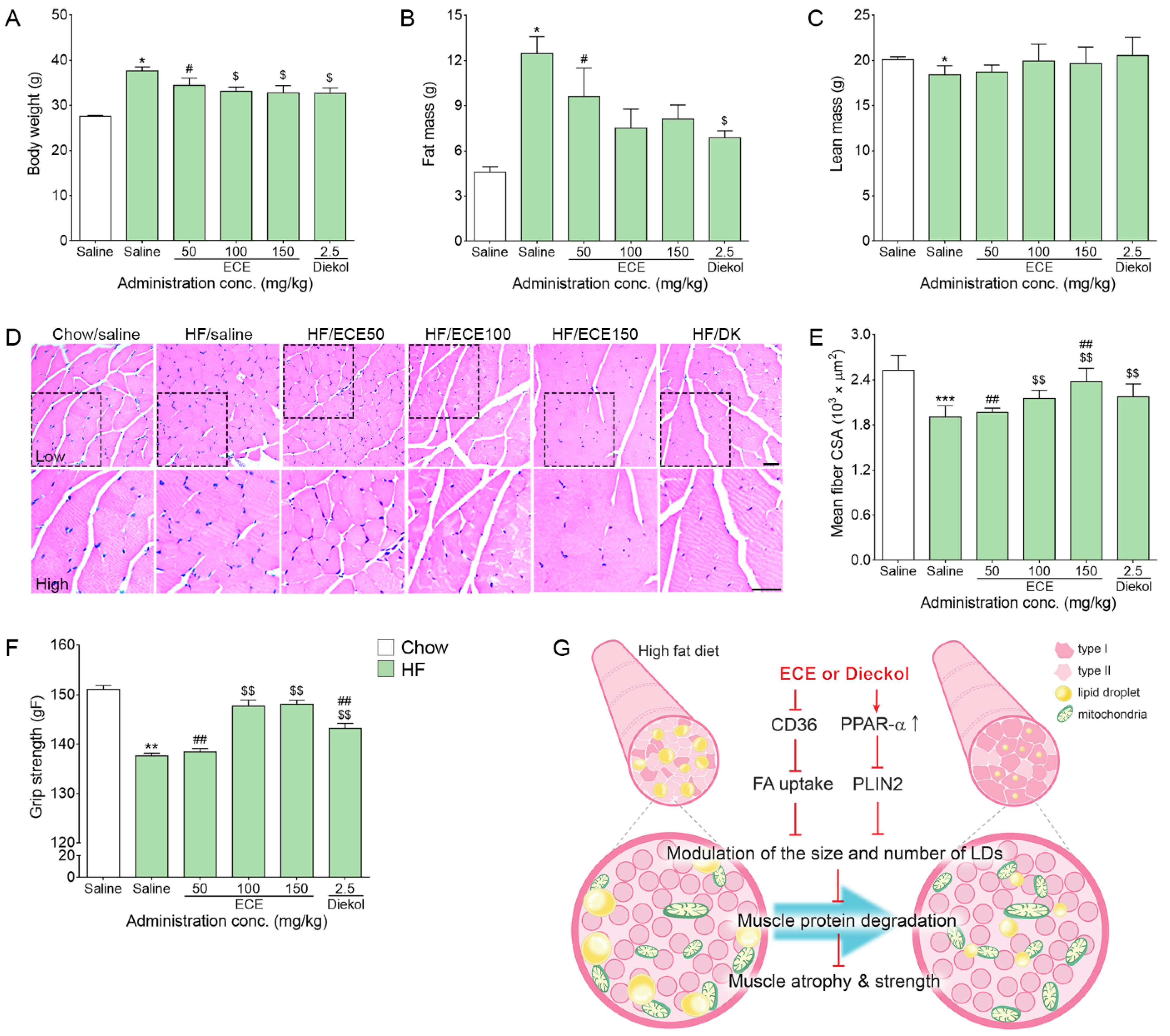 Nutrients 13 03160 g004