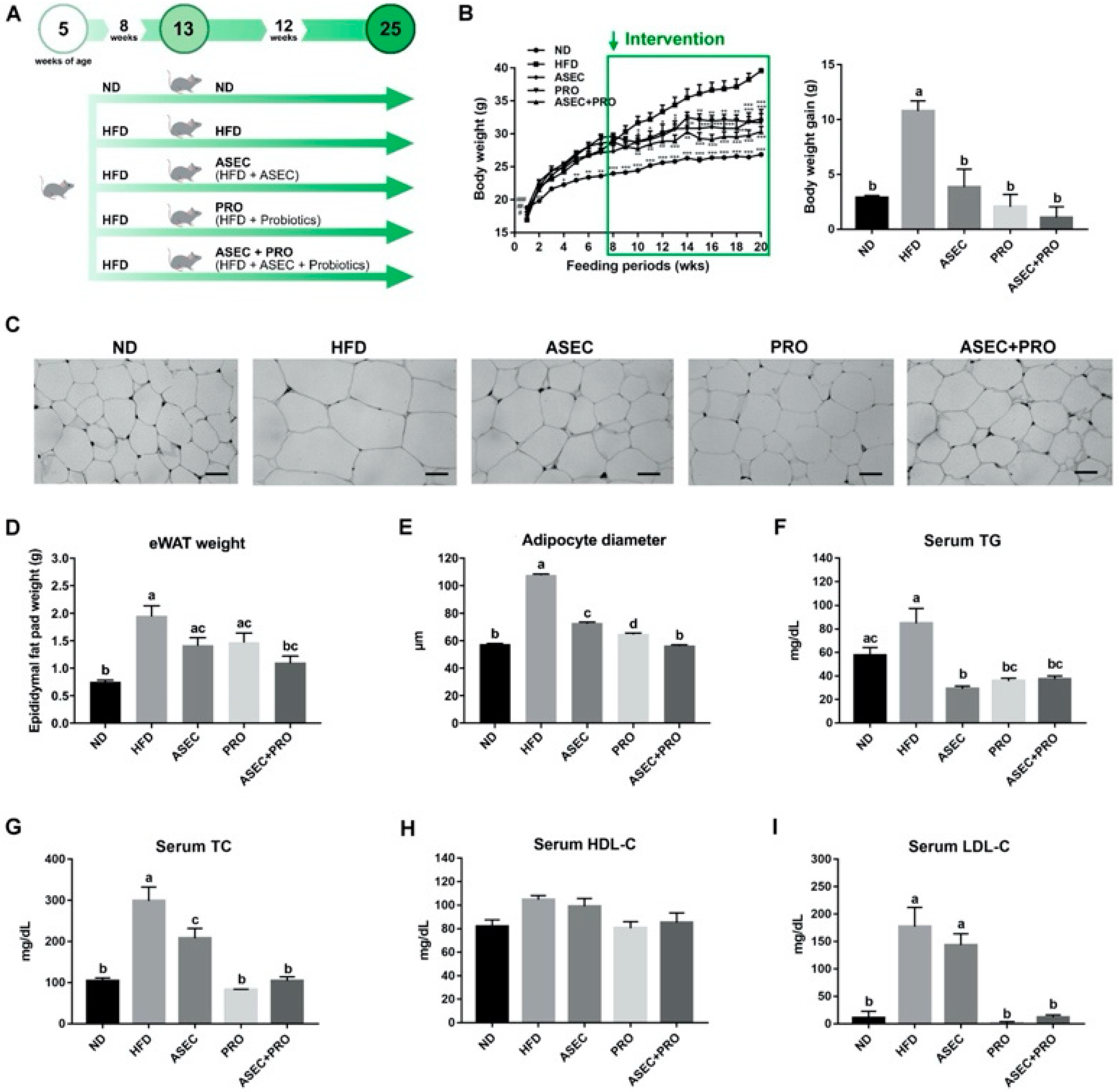 Nutrients 13 03161 g001
