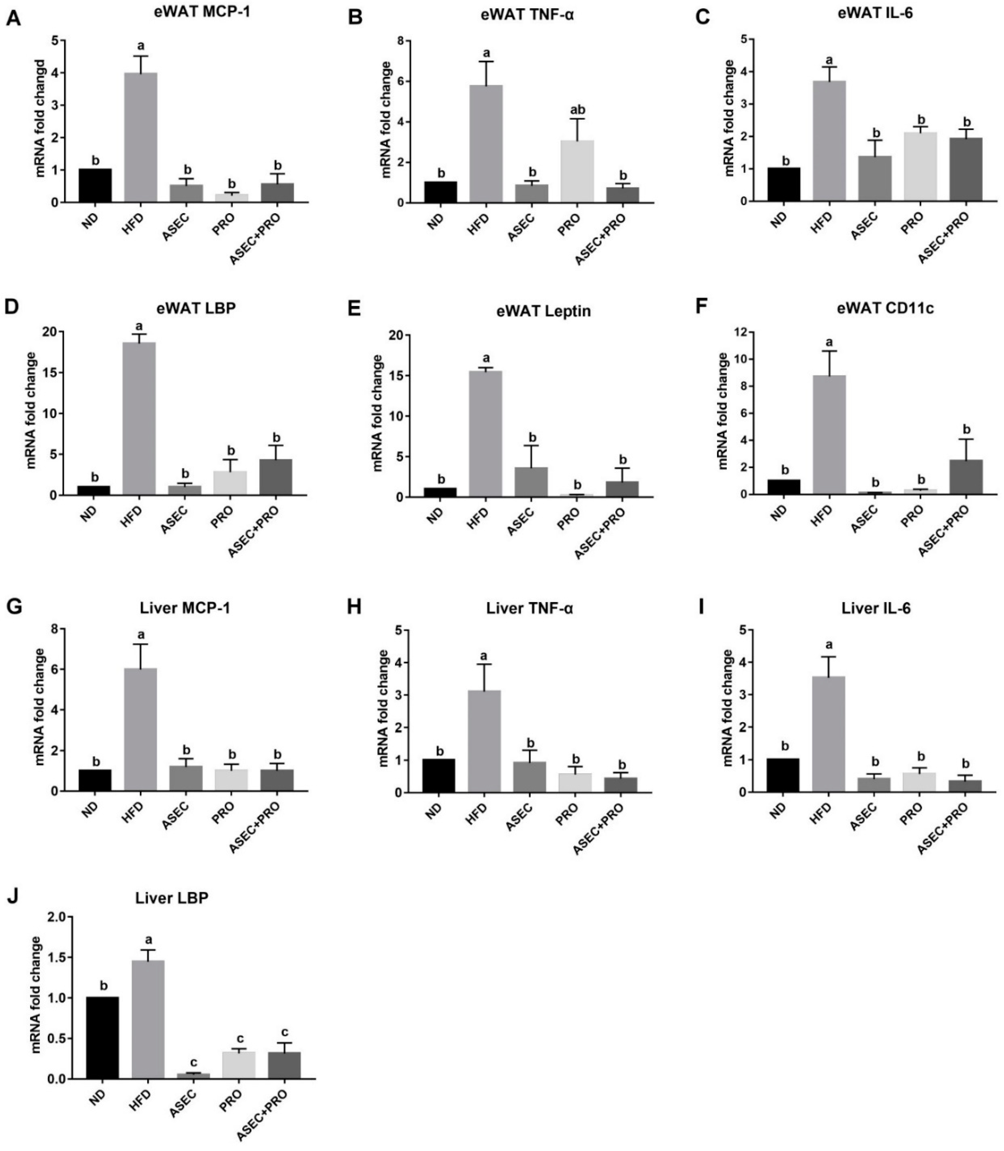 Nutrients 13 03161 g004