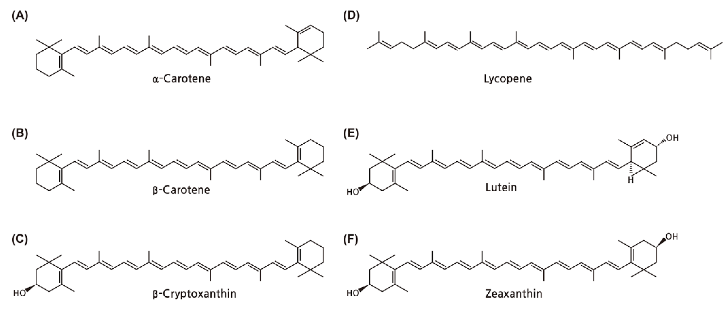 Nutrients 13 03162 g001