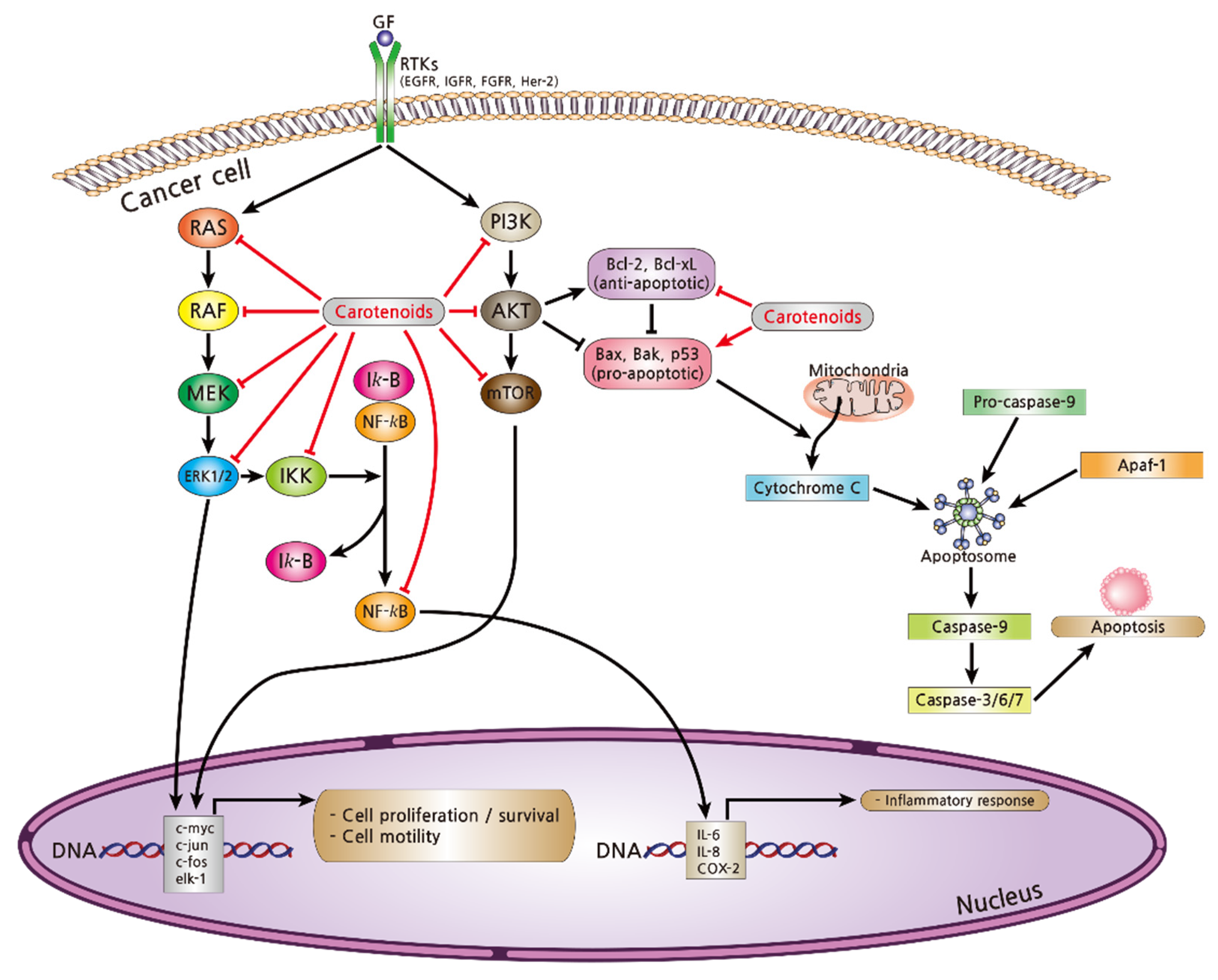 Nutrients 13 03162 g004