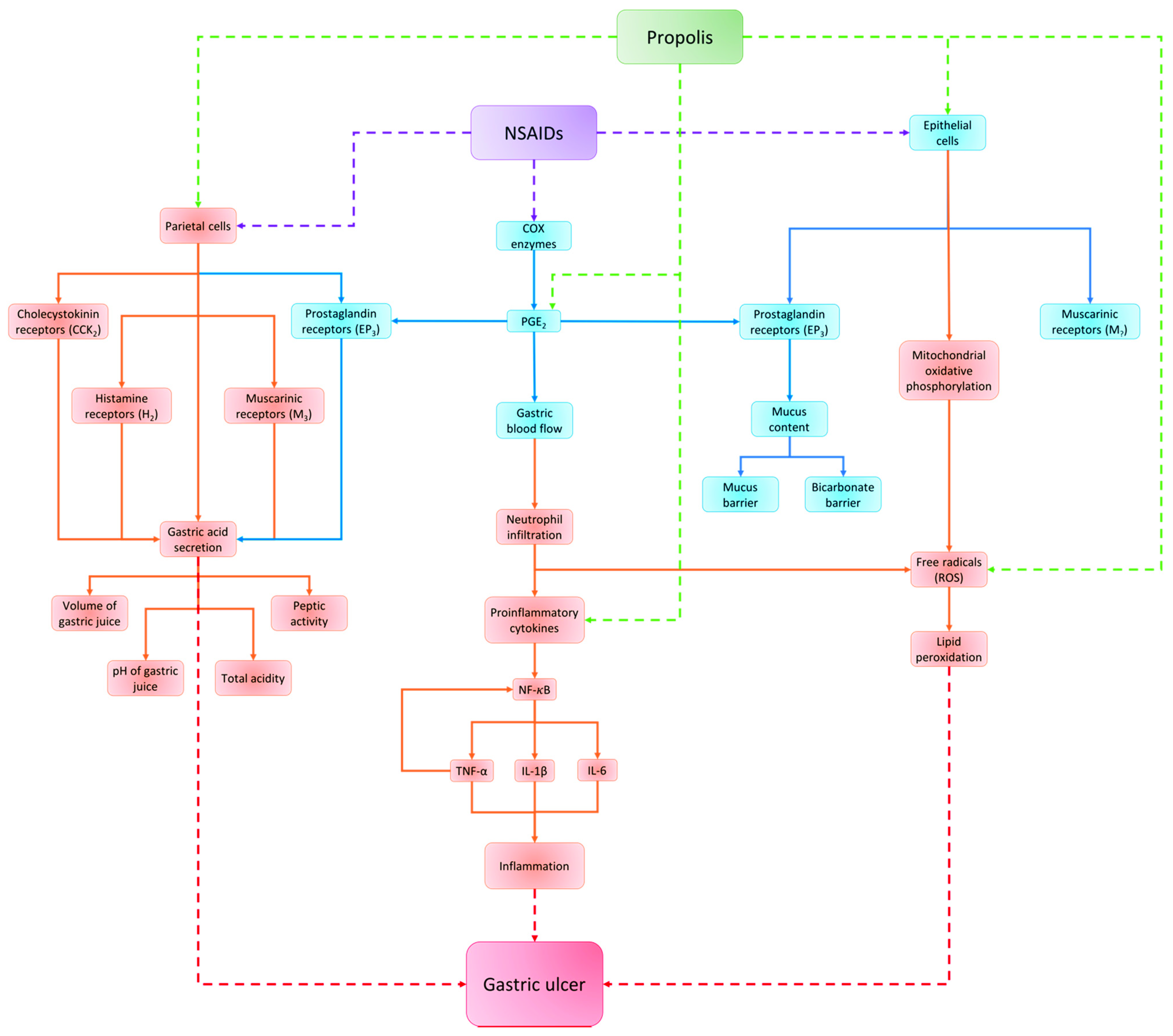 Nutrients 13 03169 g003