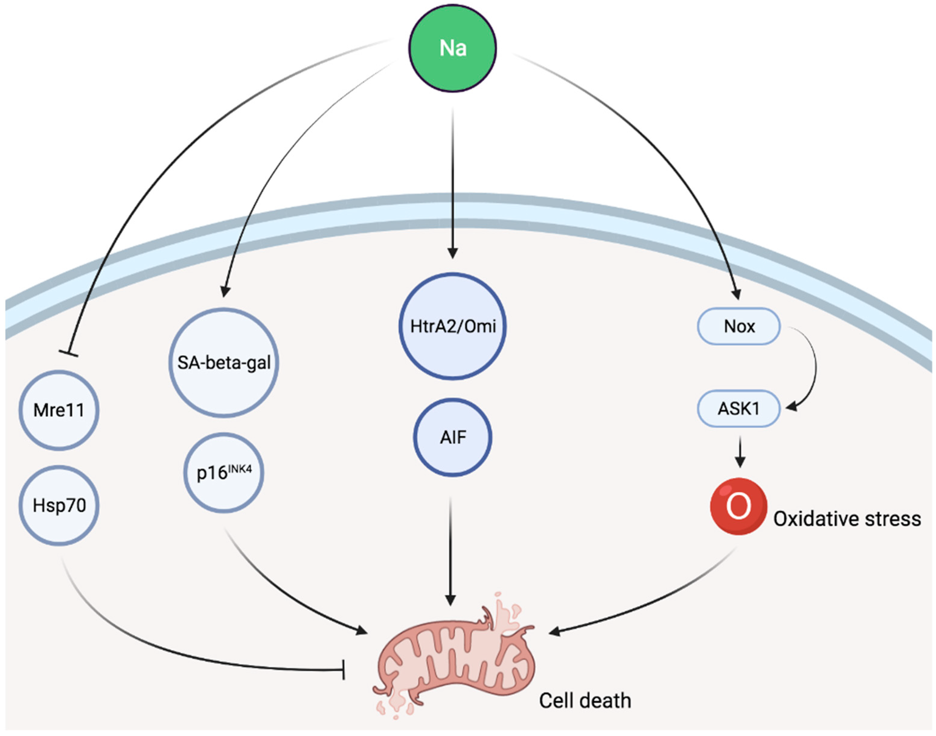 Nutrients 13 03177 g002 Nutrients 13 03177 g002