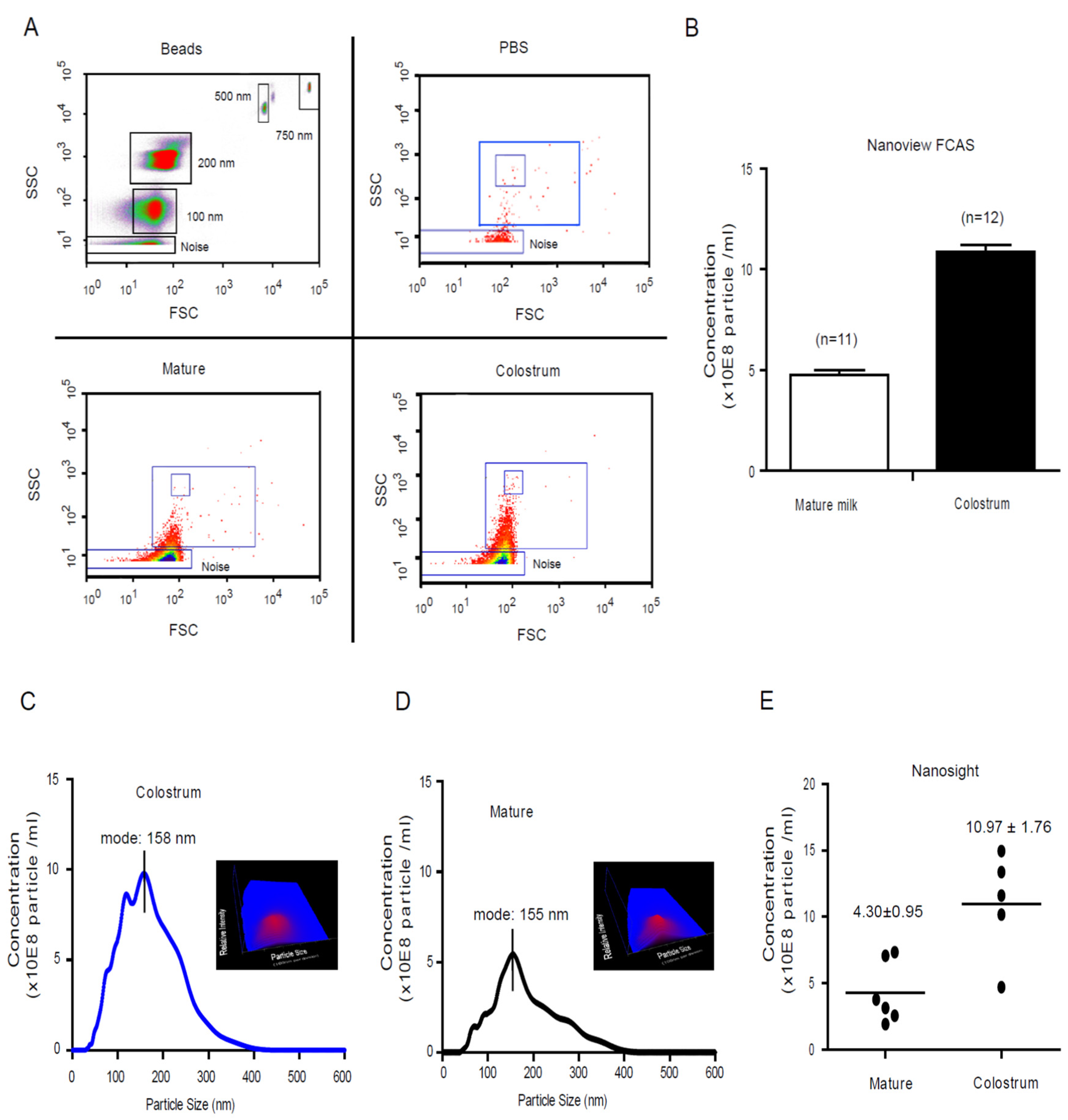 Nutrients 13 03198 g001