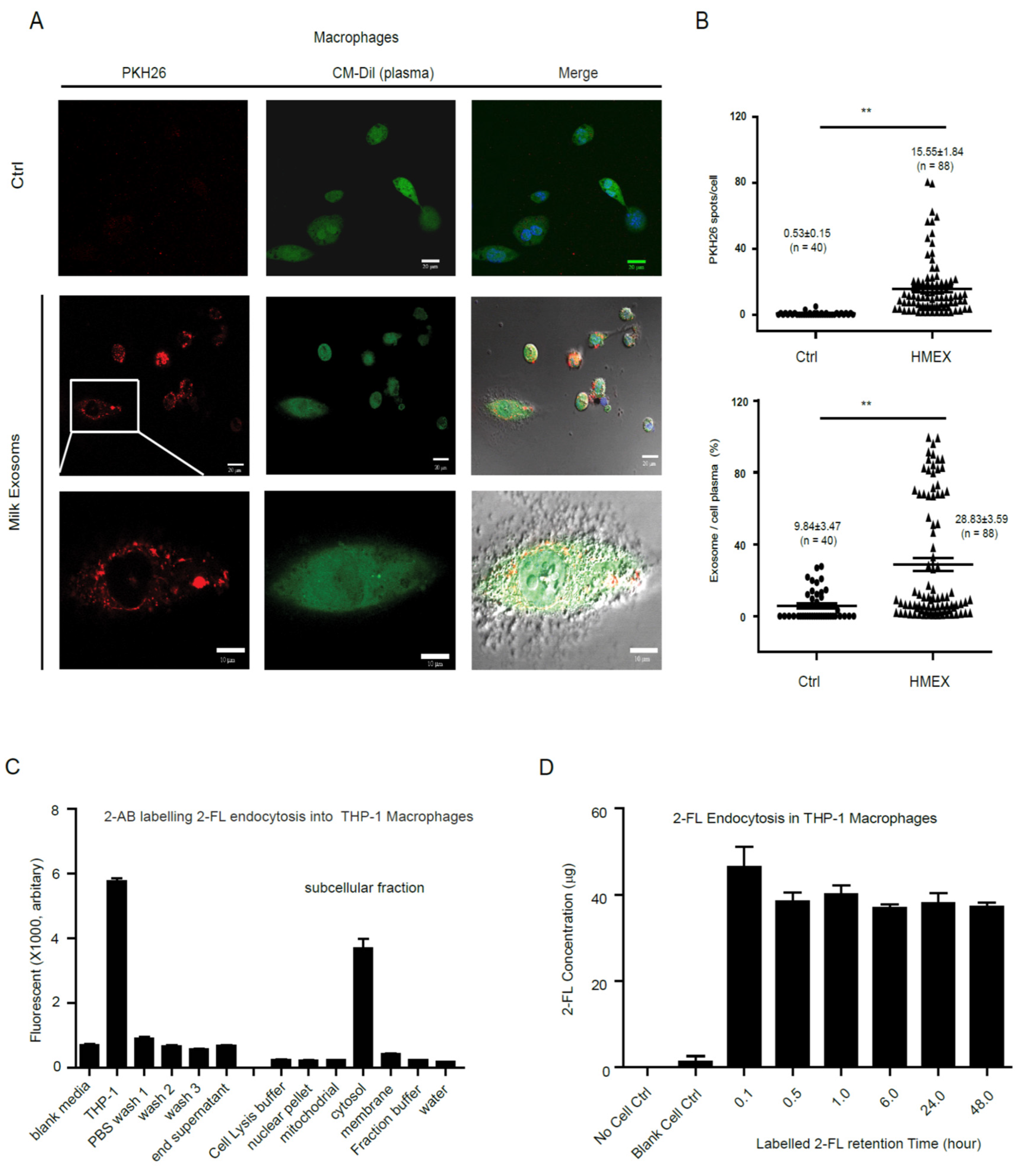 Nutrients 13 03198 g003