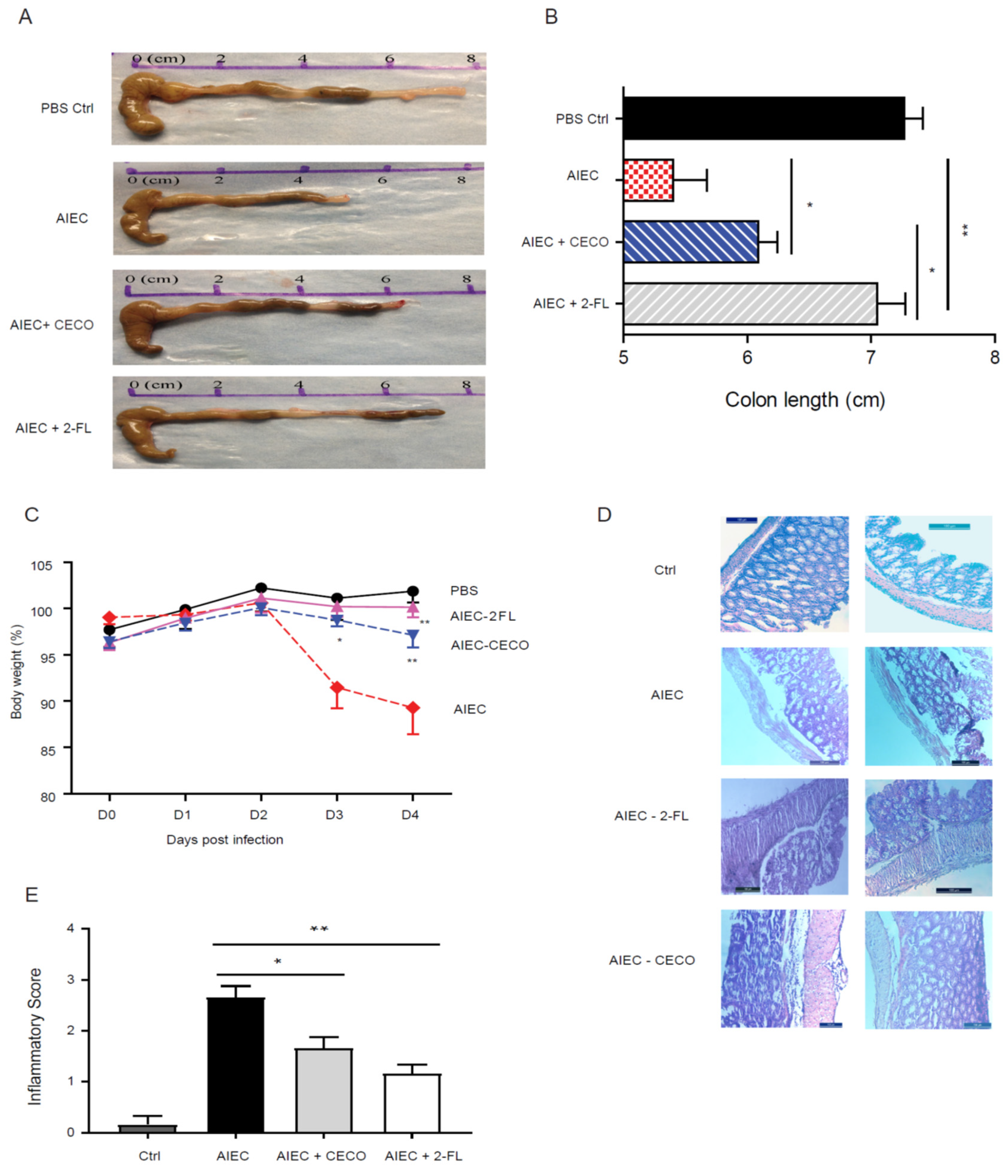 Nutrients 13 03198 g005