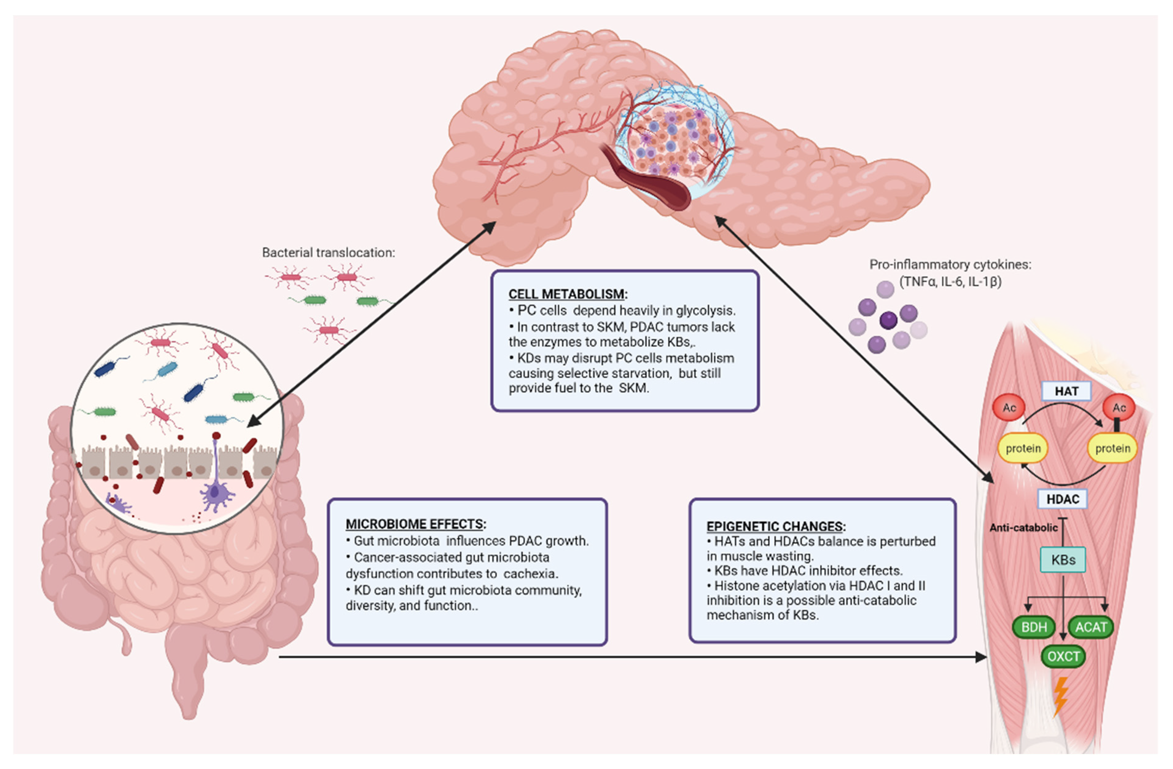 Nutrients 13 03202 g002