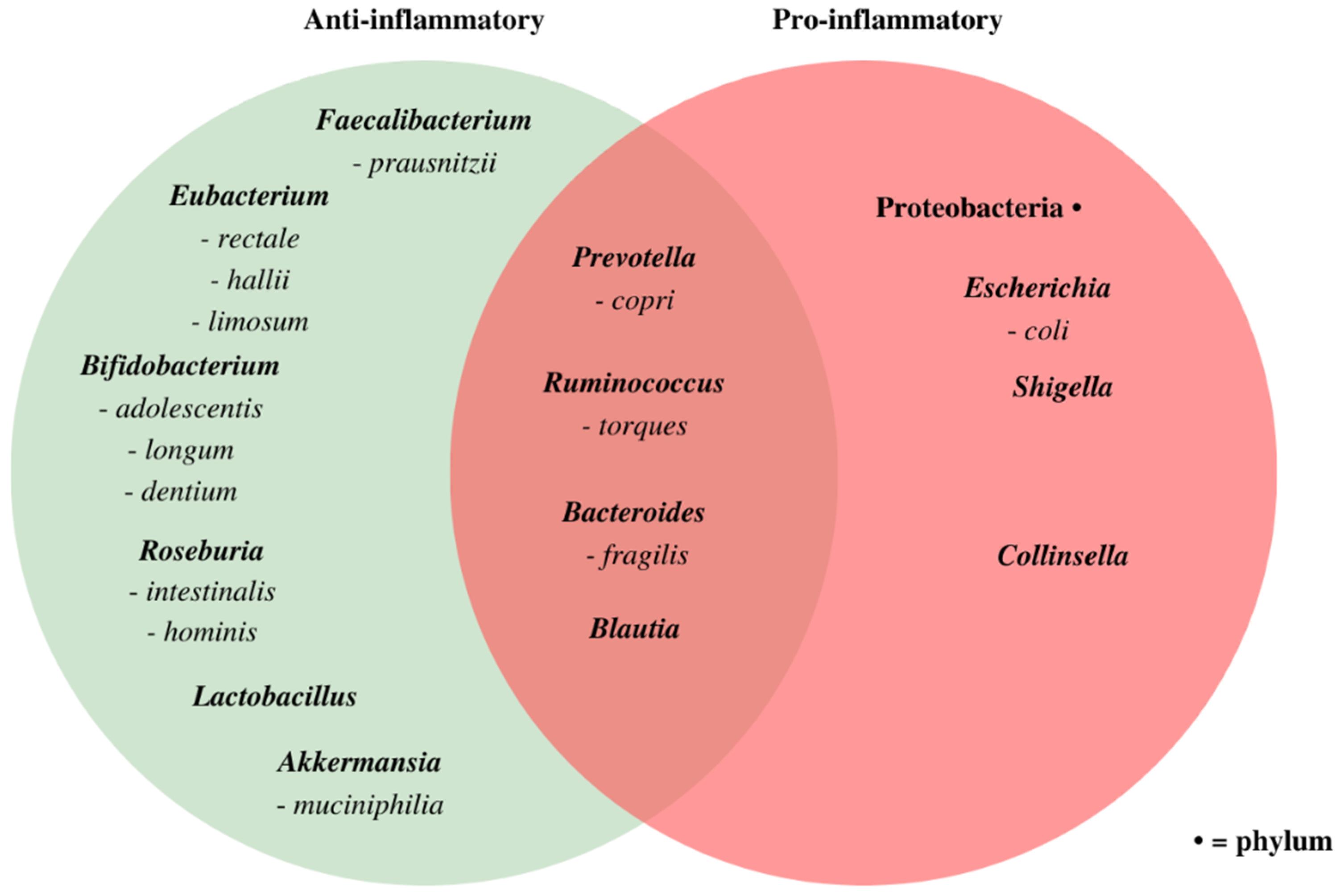 Nutrients 13 03208 g001
