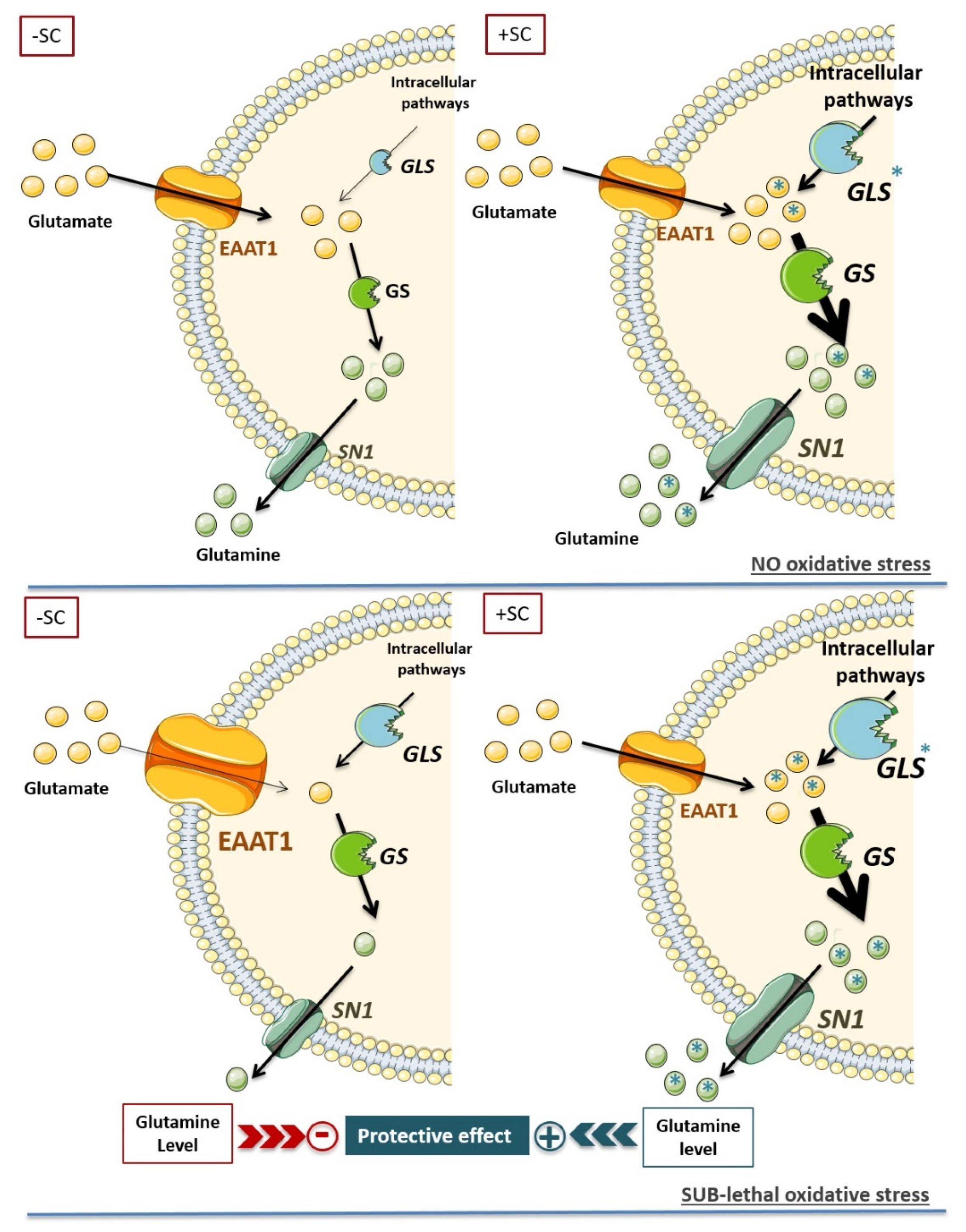 Nutrients 13 03216 g006 Nutrients 13 03216 g006