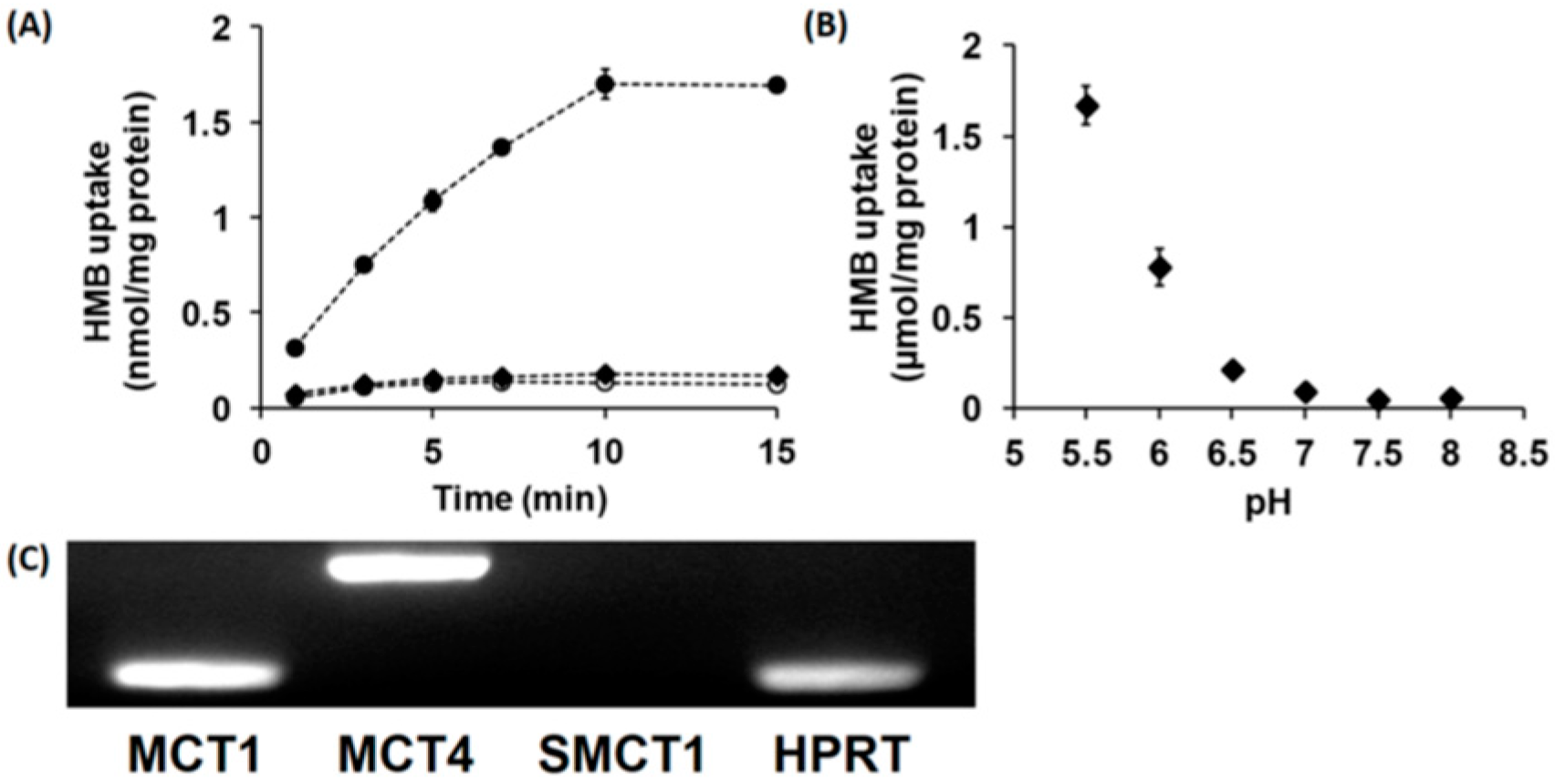 Nutrients 13 03220 g001