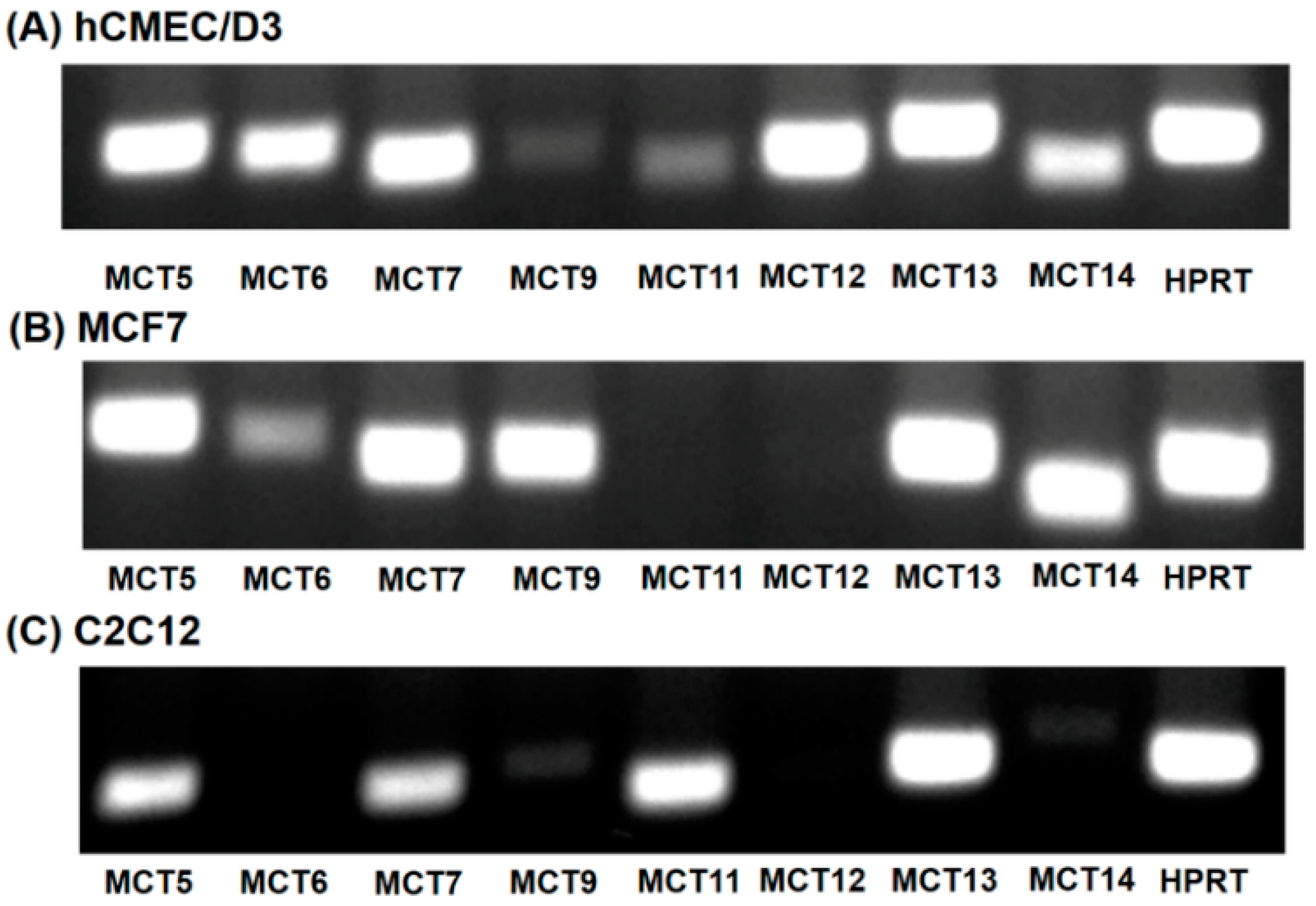 Nutrients 13 03220 g004