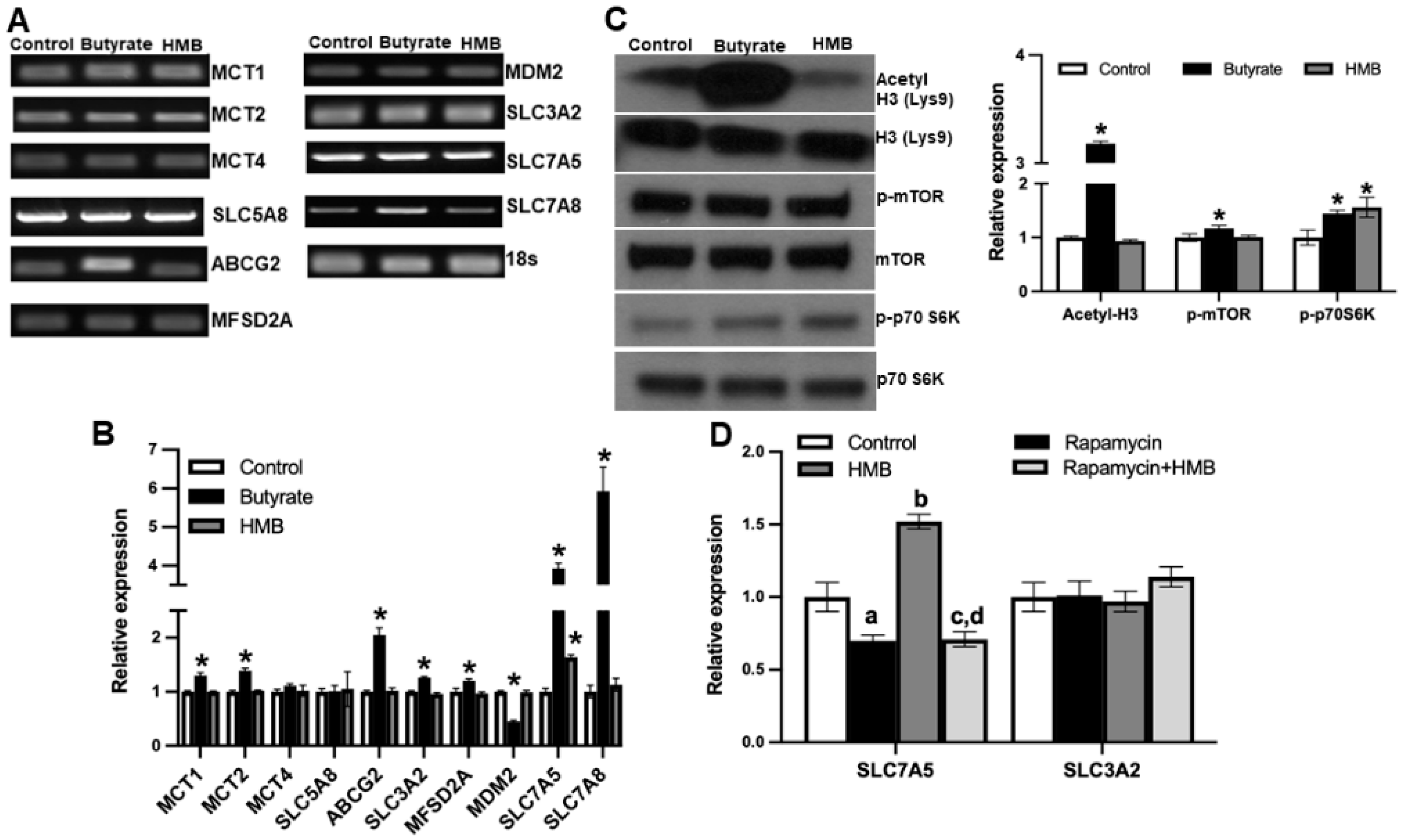 Nutrients 13 03220 g007