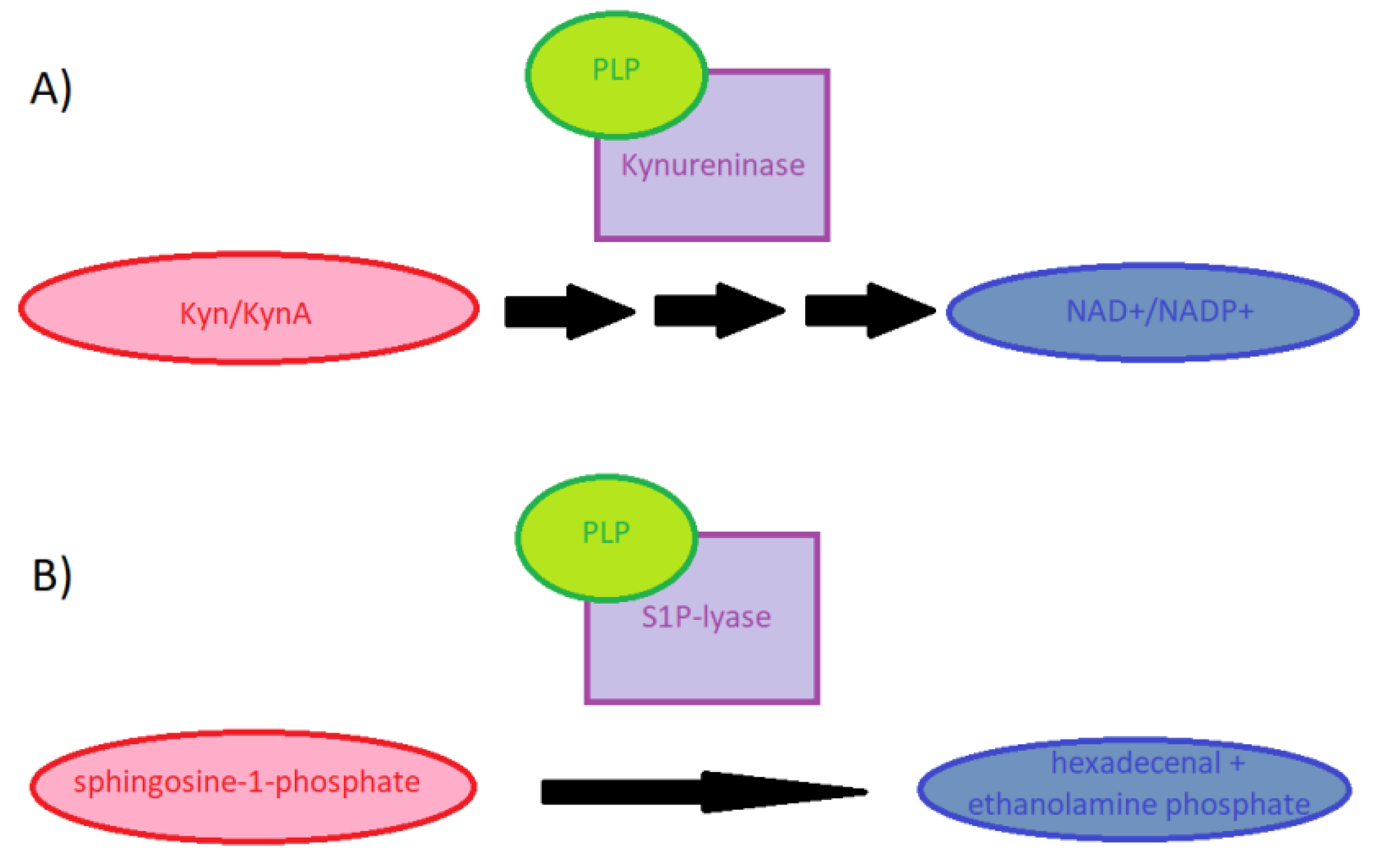 Nutrients 13 03229 g002