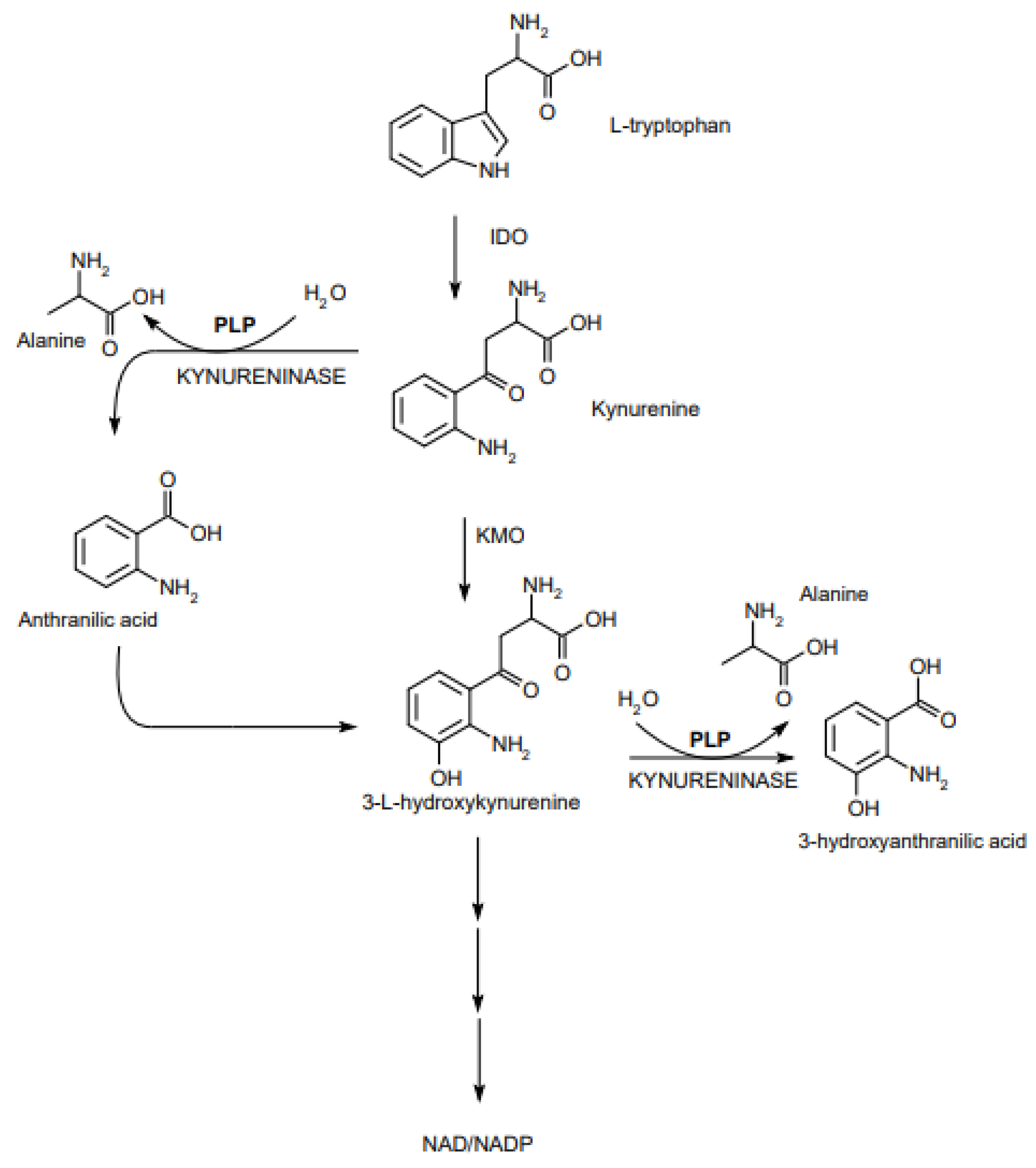 Nutrients 13 03229 g003