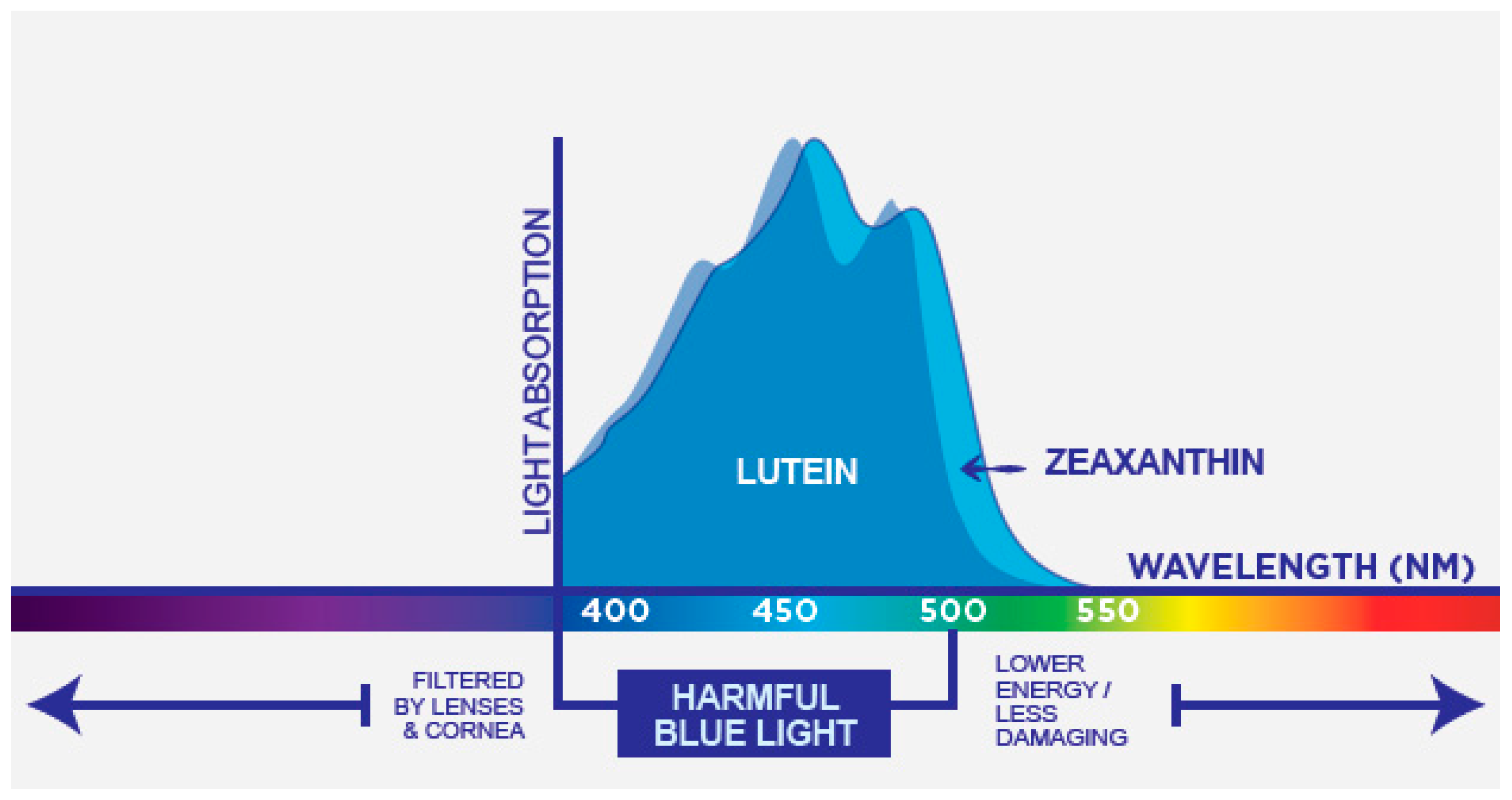 Nutrients 13 03239 g005