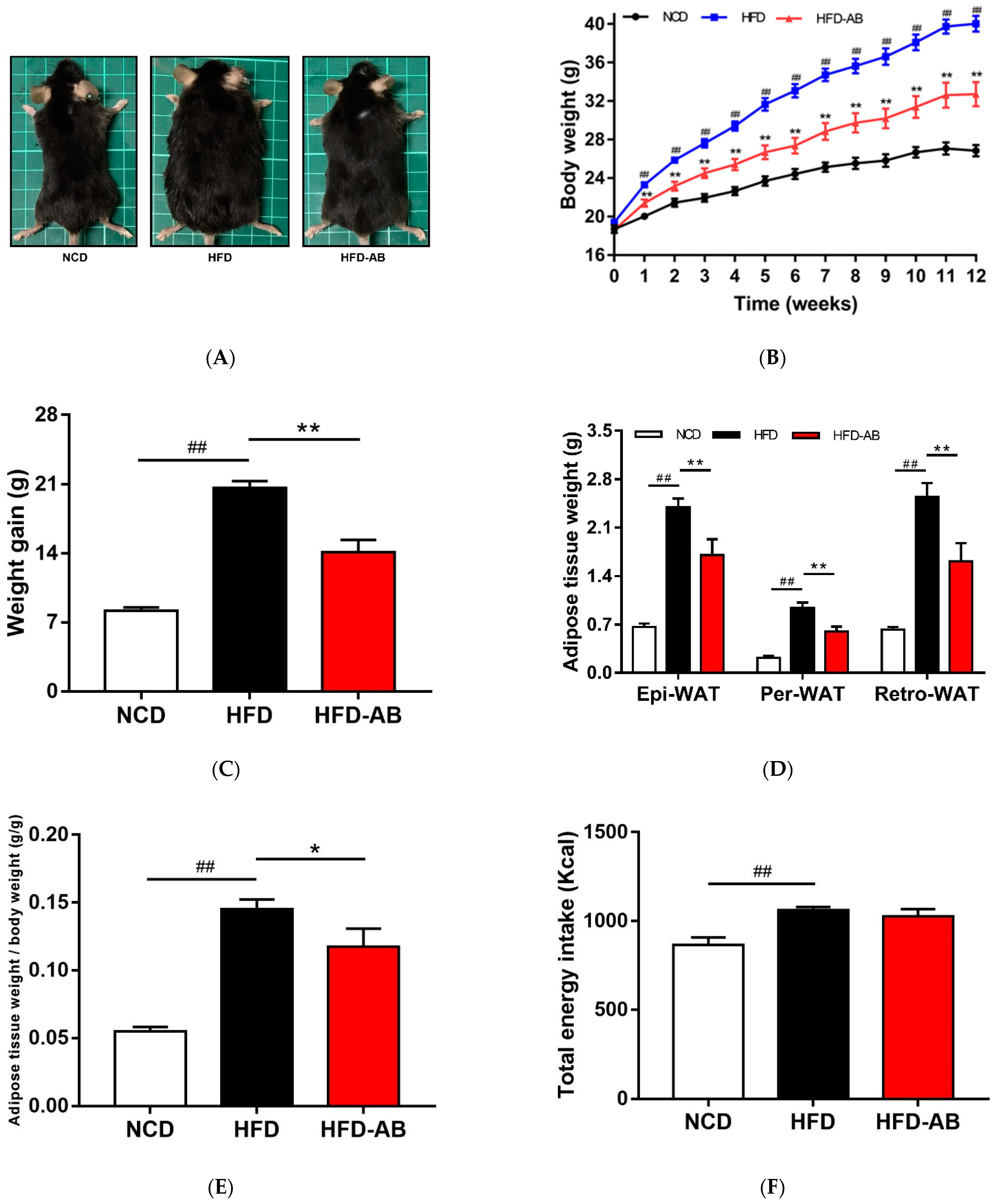 Nutrients 13 03240 g001a