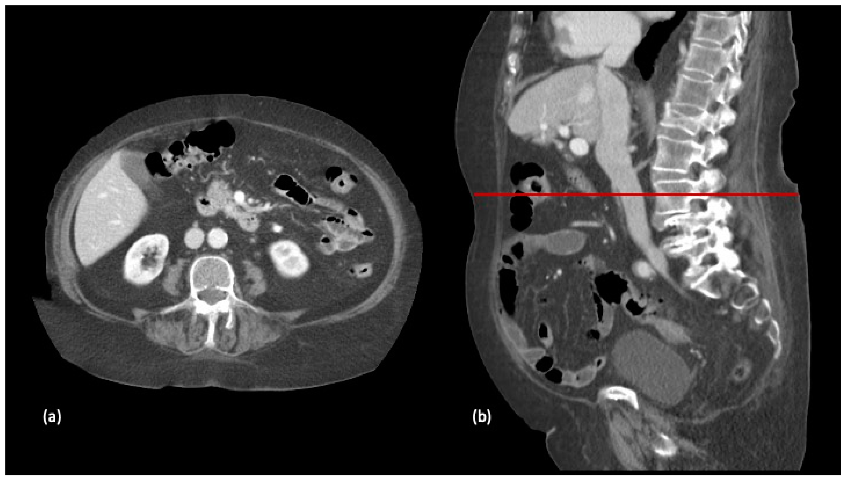 Nutrients 13 03245 g001