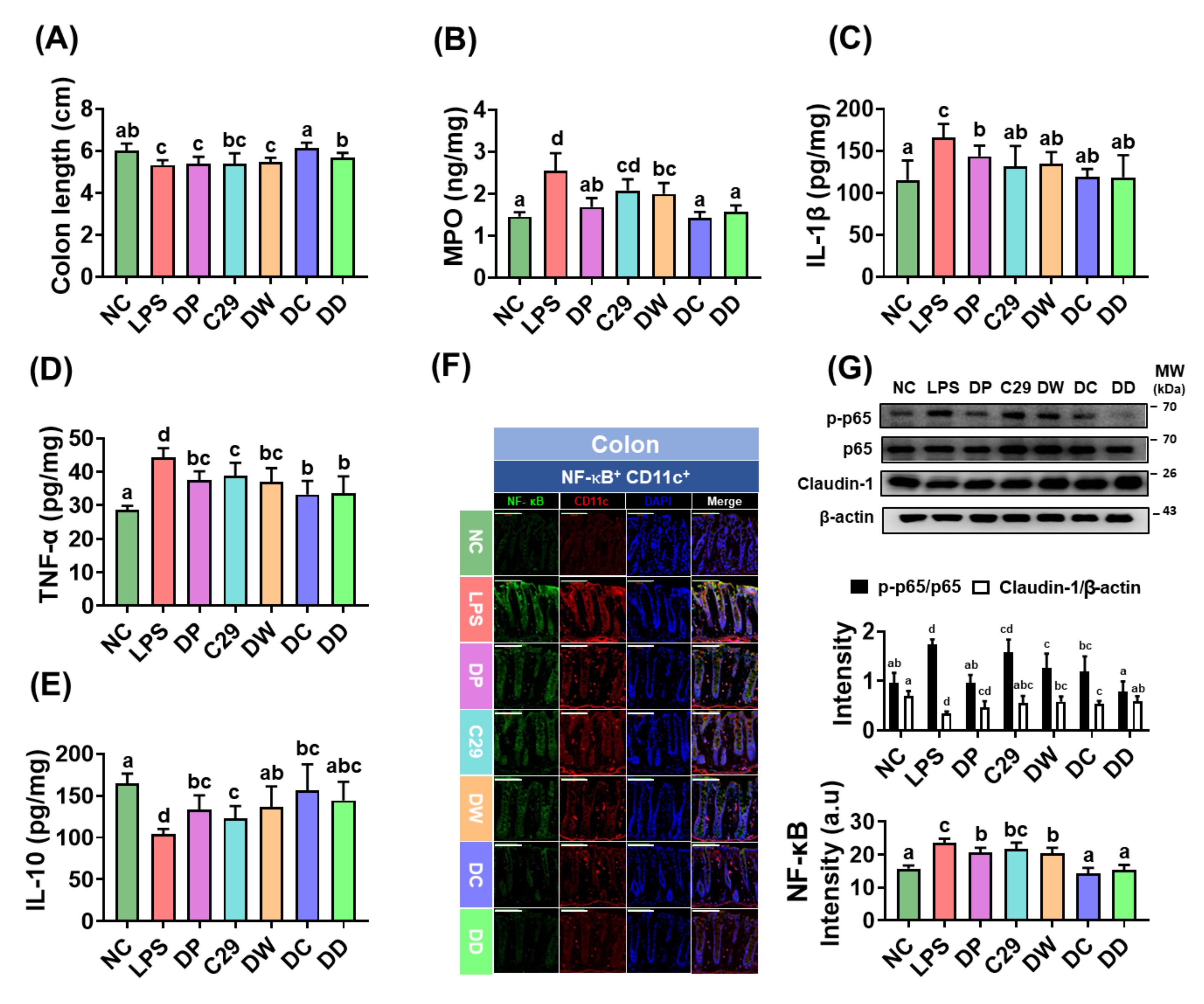 Nutrients 13 03273 g003