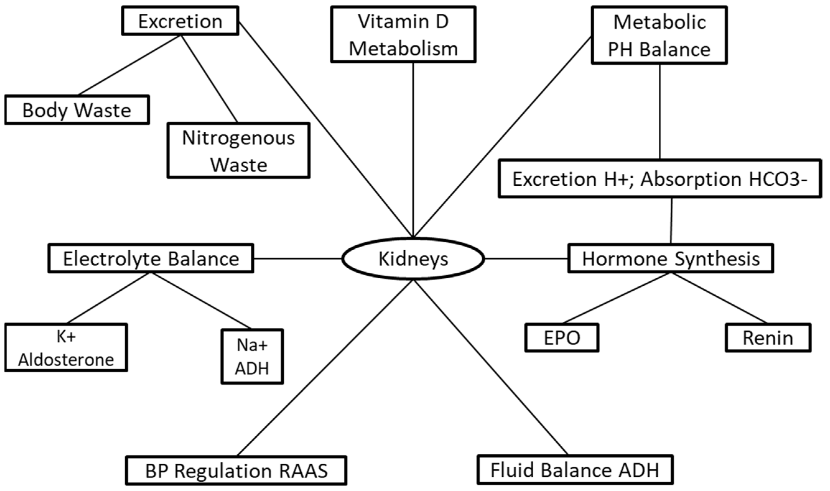 Nutrients 13 03277 g001